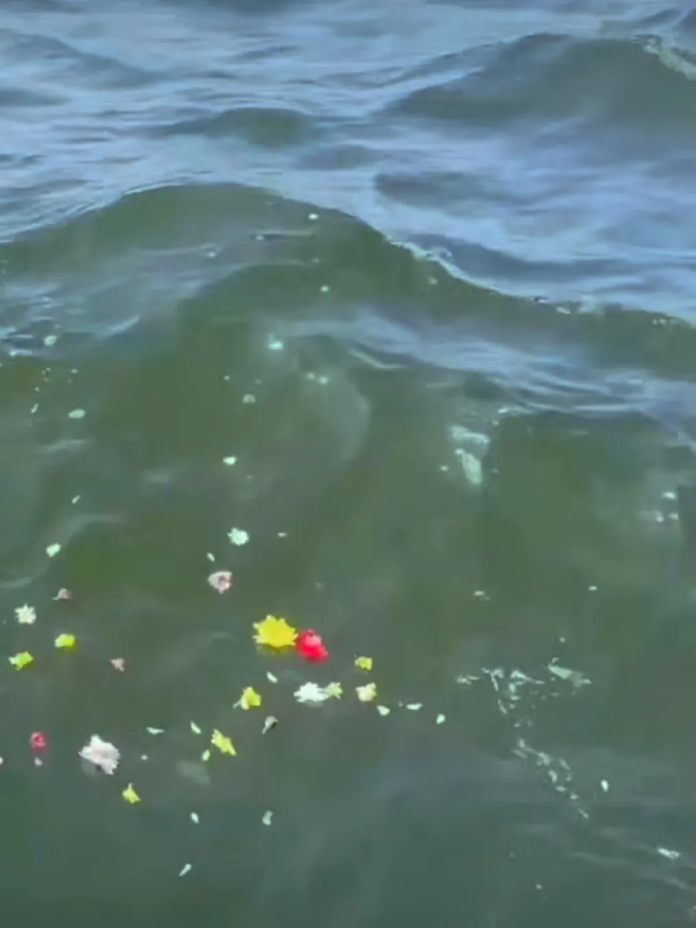 海洋散骨のお手伝いを致しました。