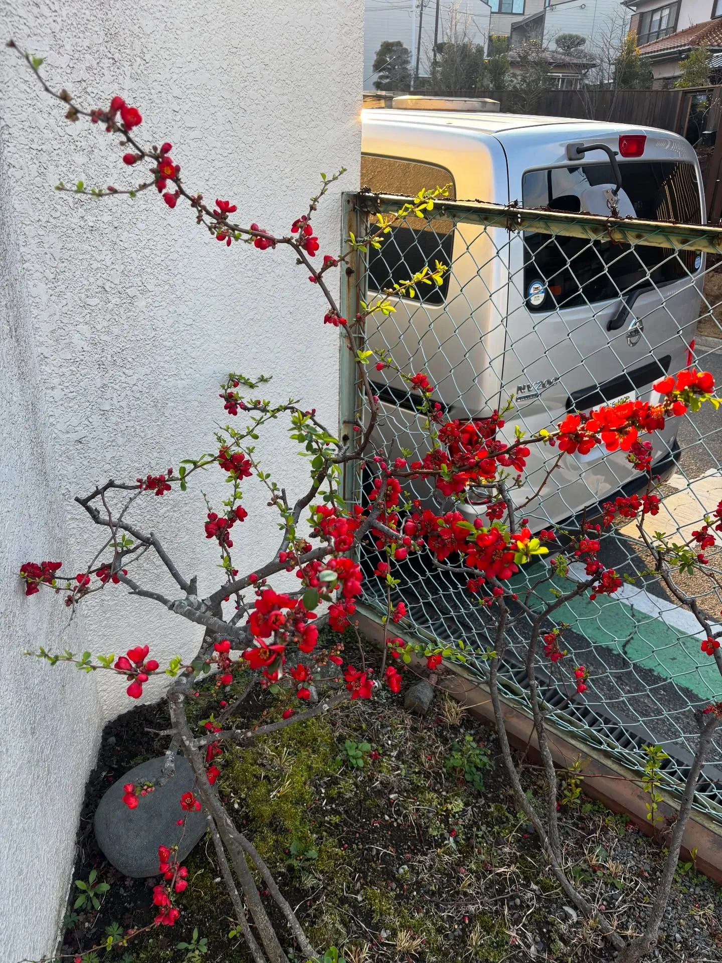 横浜市にて、リピーター様であるご家族の大切な愛犬のペット火葬...