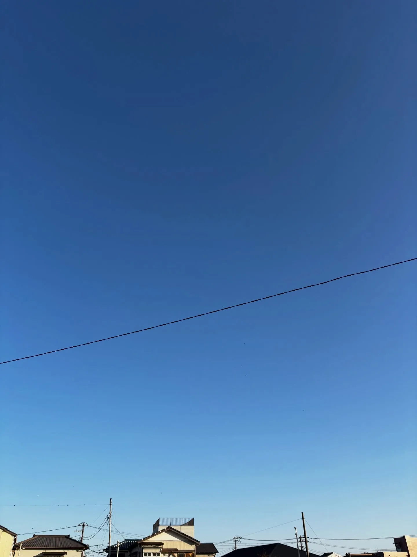 ペットが虹の橋を渡るとき、私たちの心には大きな空白が生まれま...