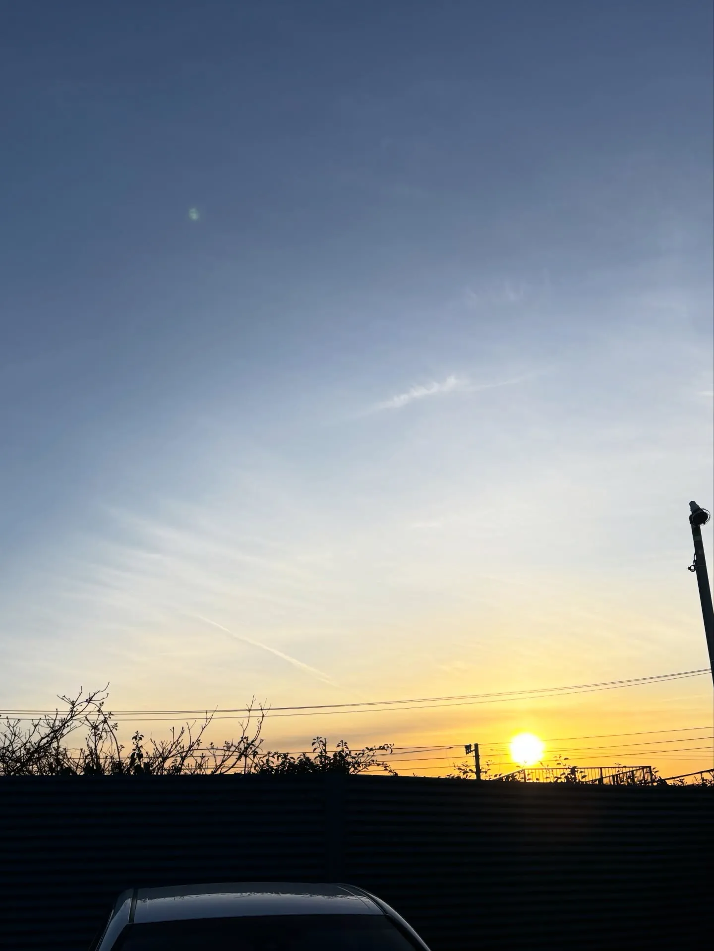 ペットが虹の橋を渡るとき、私たちの心には大きな空白が生まれま...