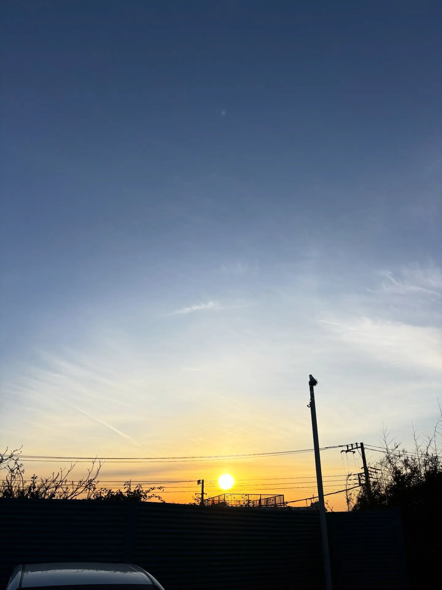 ペットが虹の橋を渡るとき、私たちの心には大きな空白が生まれま...