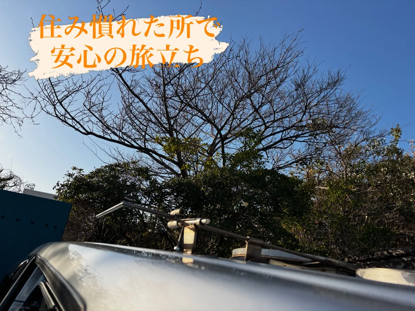 三浦市で地域の皆様が愛する猫ちゃんのペット火葬をお手伝いさせ...