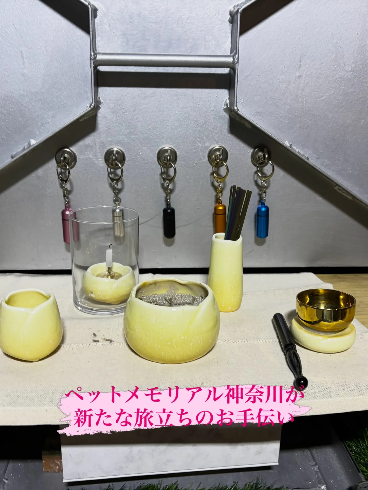 横浜市で、愛くるしいポメラニアンちゃんとのお別れのお手伝いを...