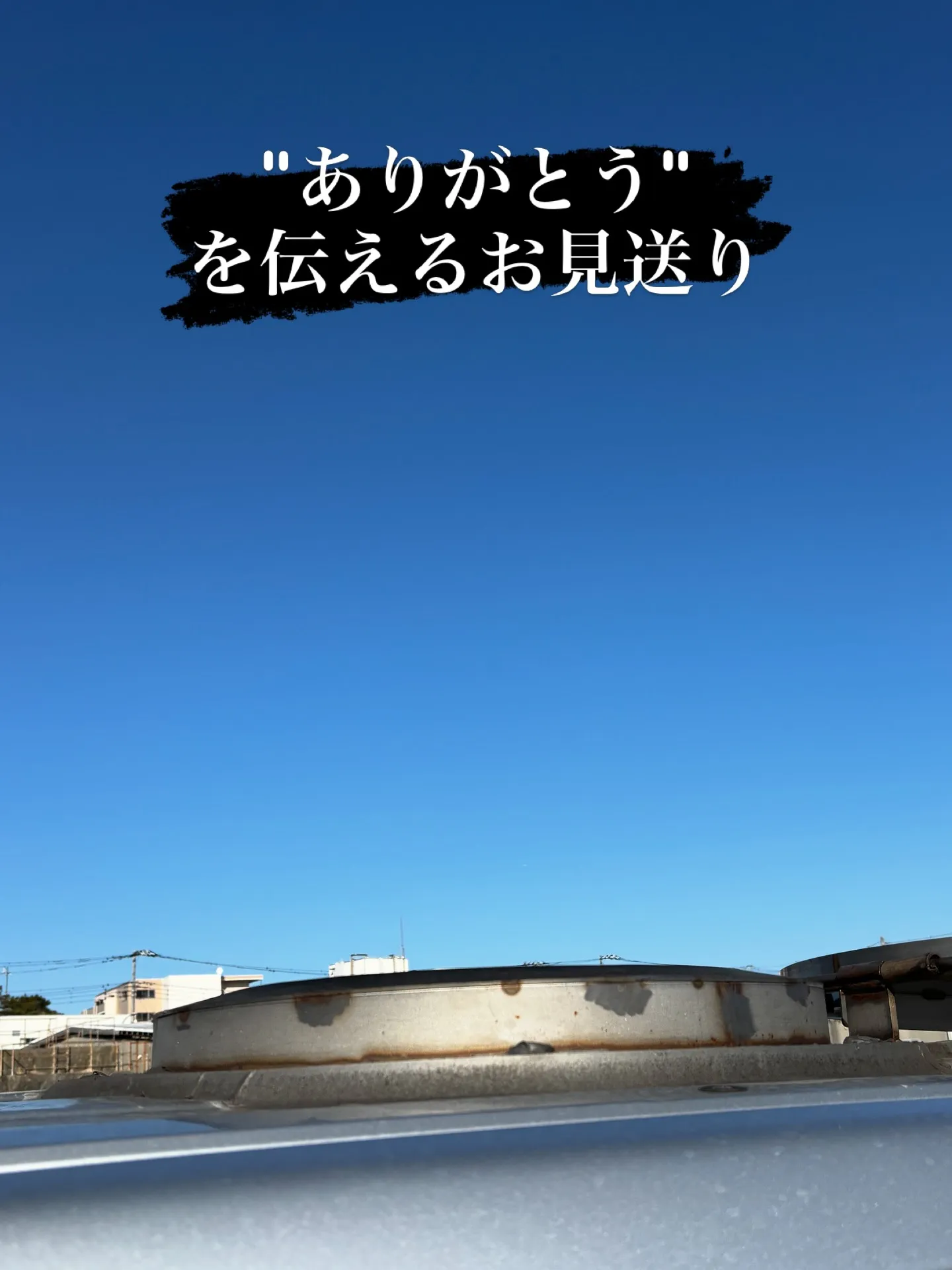 横浜市金沢区で、可愛いハムスターのペット火葬をお手伝いさせて...