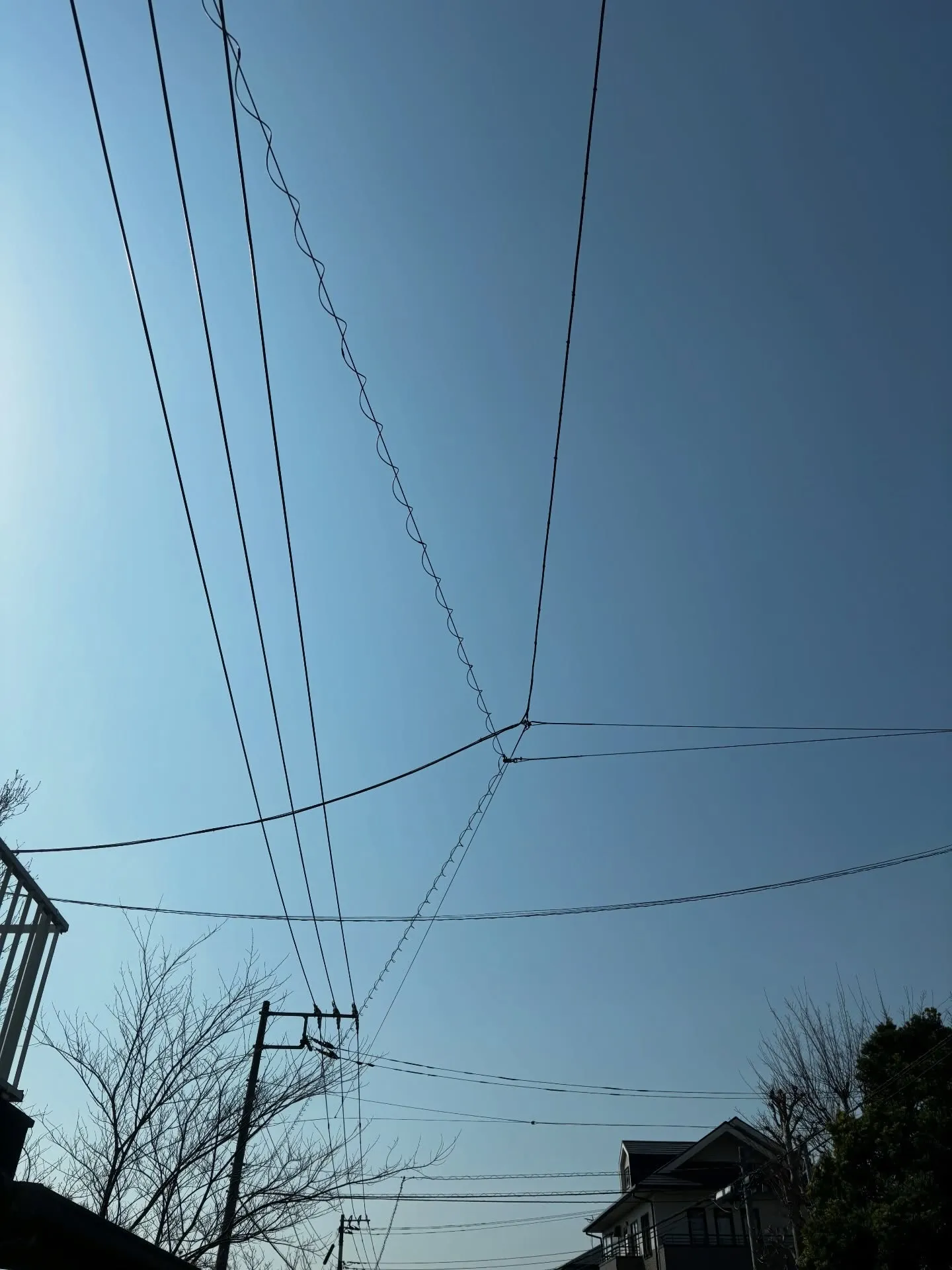 横須賀市にて、愛らしいハムスターちゃんのペット火葬をお手伝い...