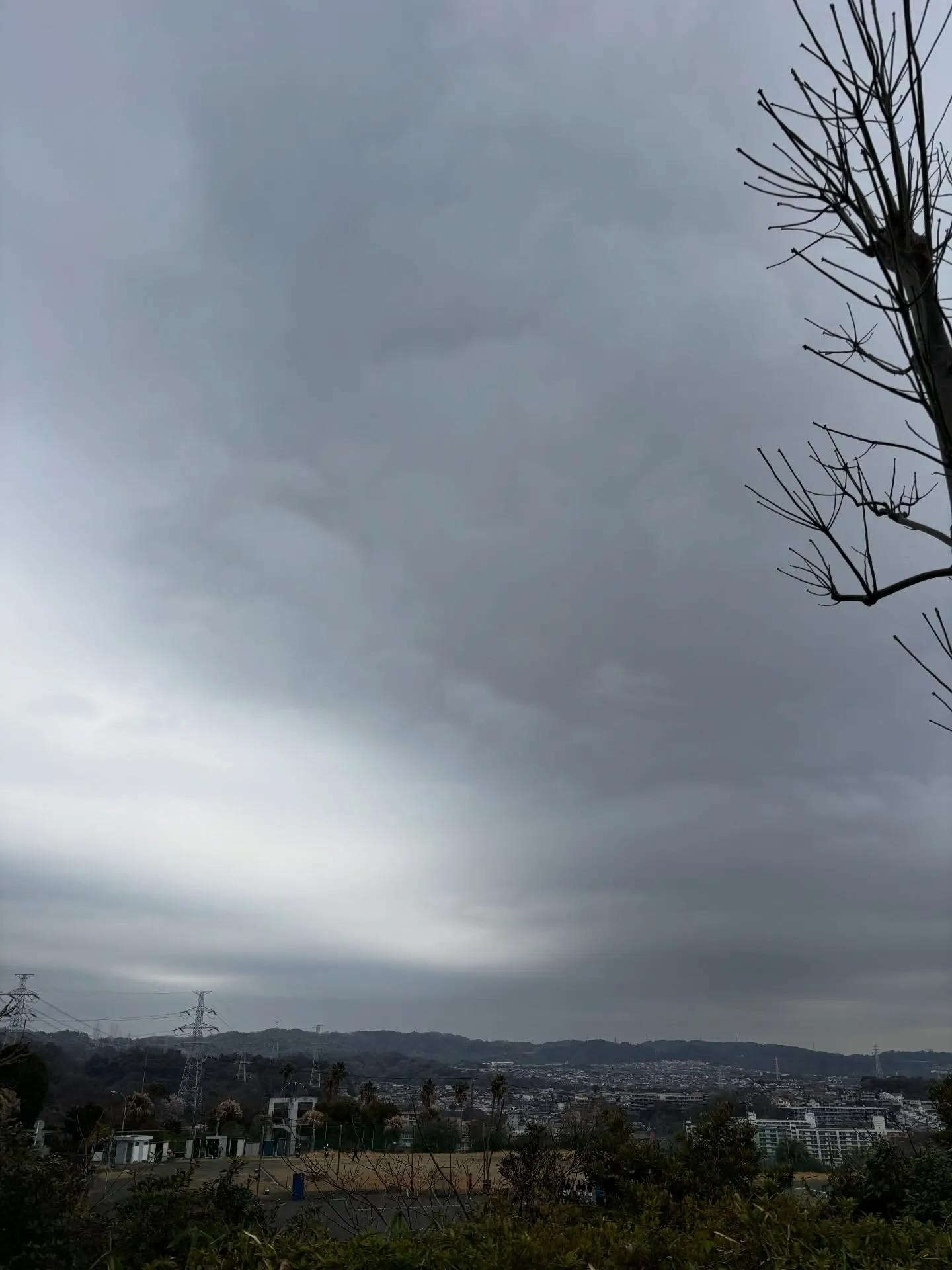 横須賀市から神奈川県を中心に、ペットの火葬サービスを提供して...