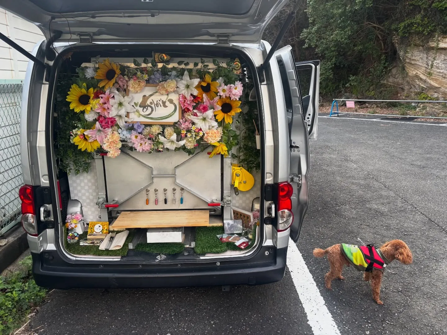 横須賀市で素晴らしい日々を過ごしてきたポメラニアンちゃんが、...