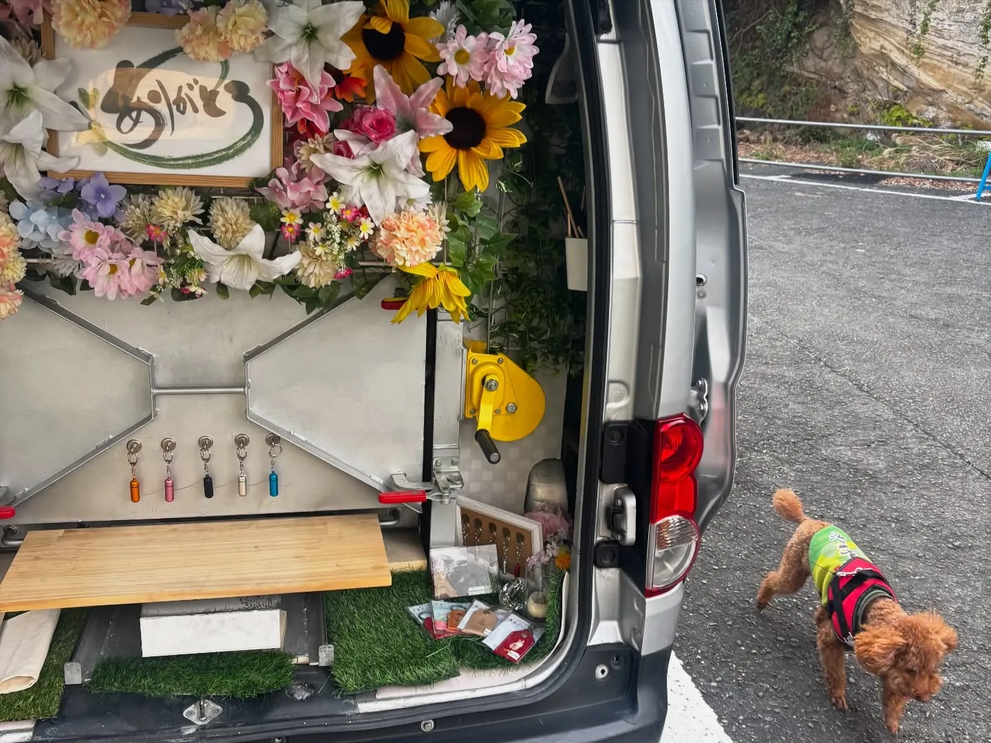 横須賀市で素晴らしい日々を過ごしてきたポメラニアンちゃんが、...