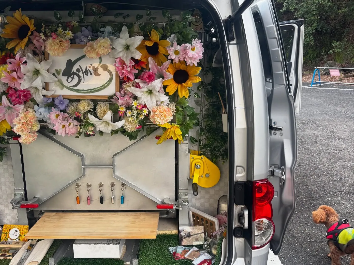 横須賀市で素晴らしい日々を過ごしてきたポメラニアンちゃんが、...