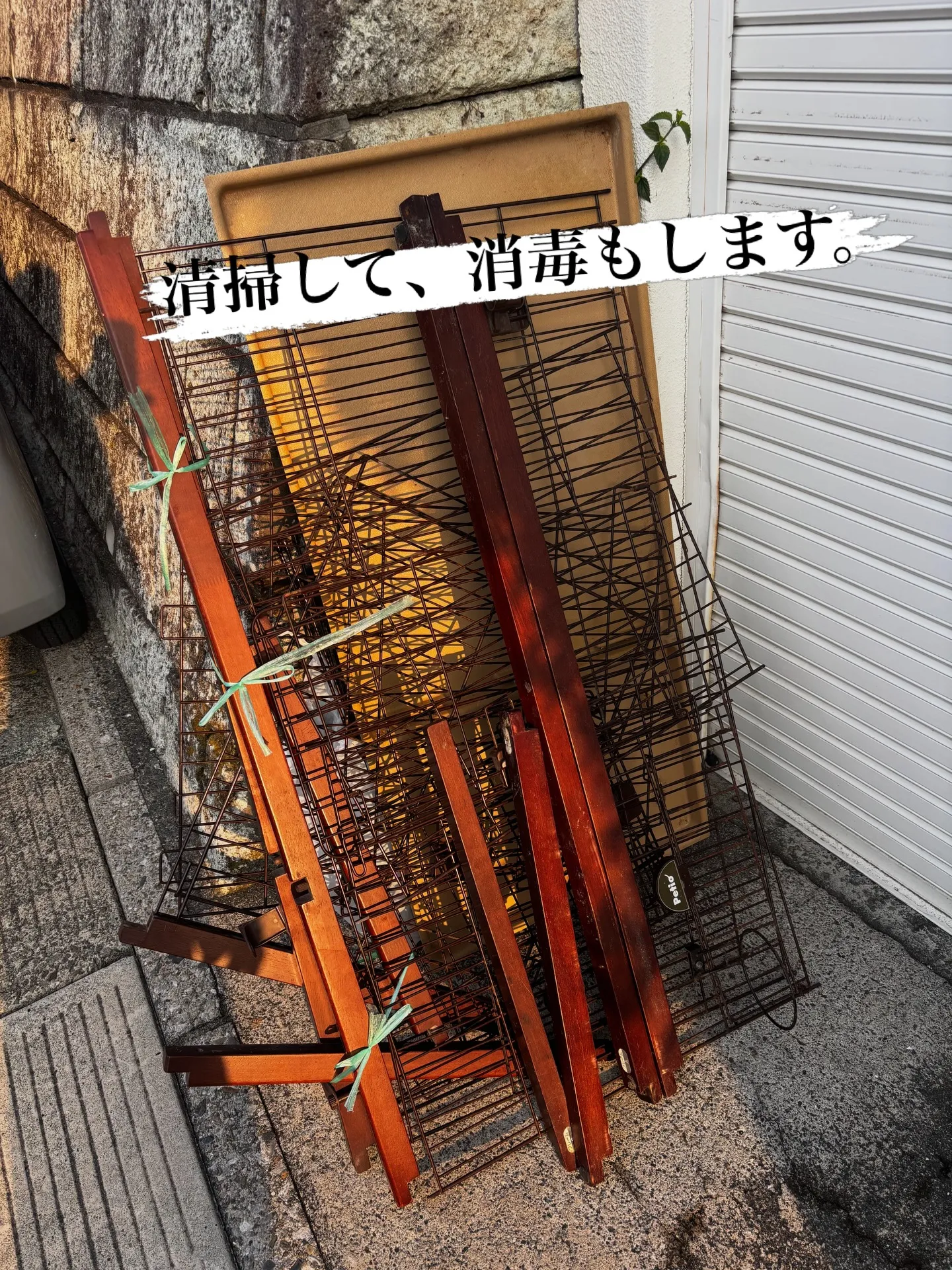 以前ペット火葬のお手伝いをさせていただき、虹の橋へとお見送り...