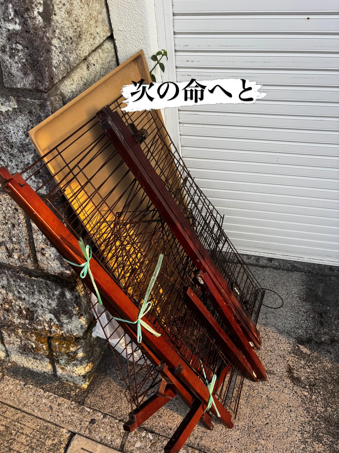 以前ペット火葬のお手伝いをさせていただき、虹の橋へとお見送り...