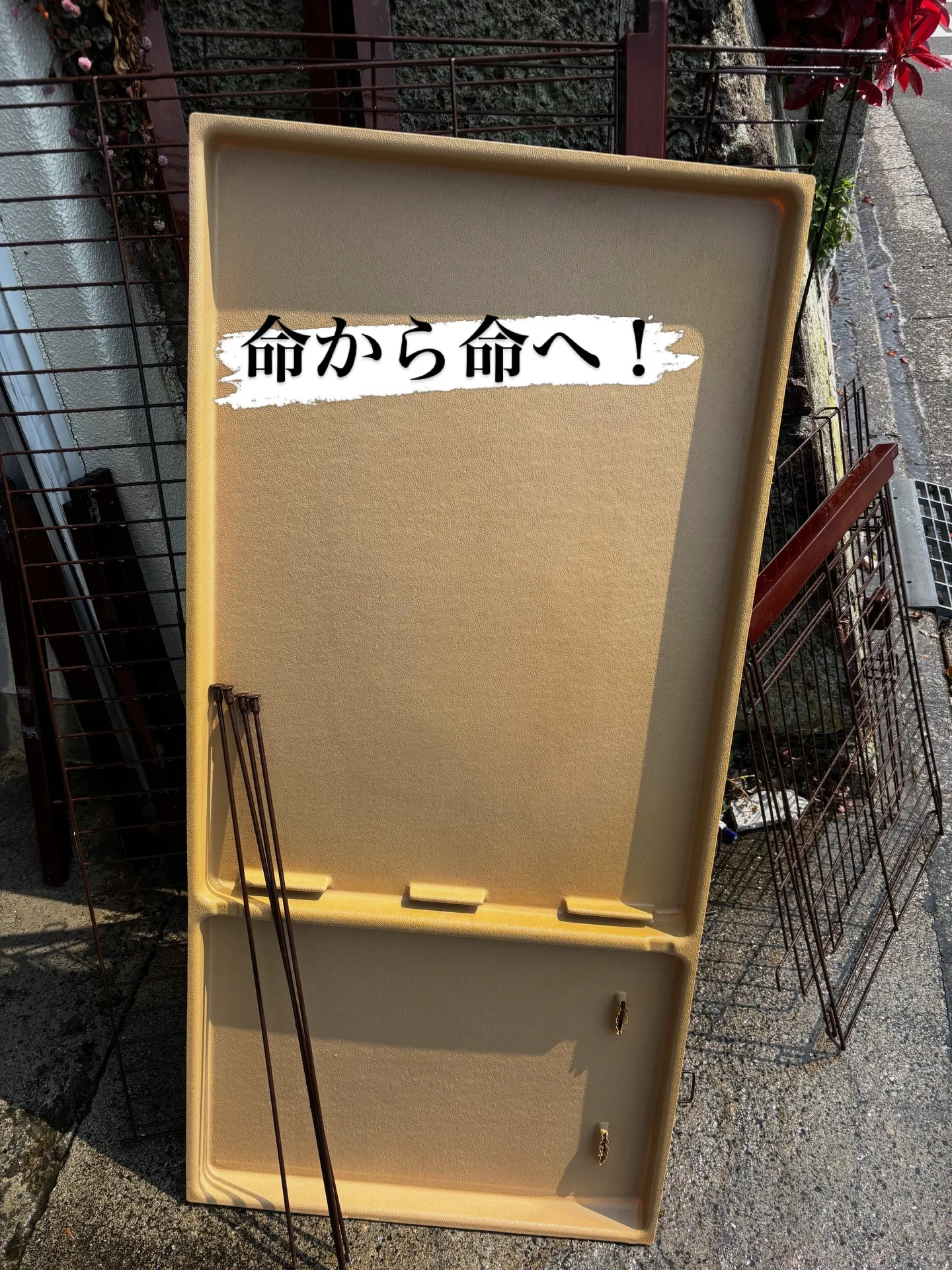 2回洗浄し、組み立ててみます。