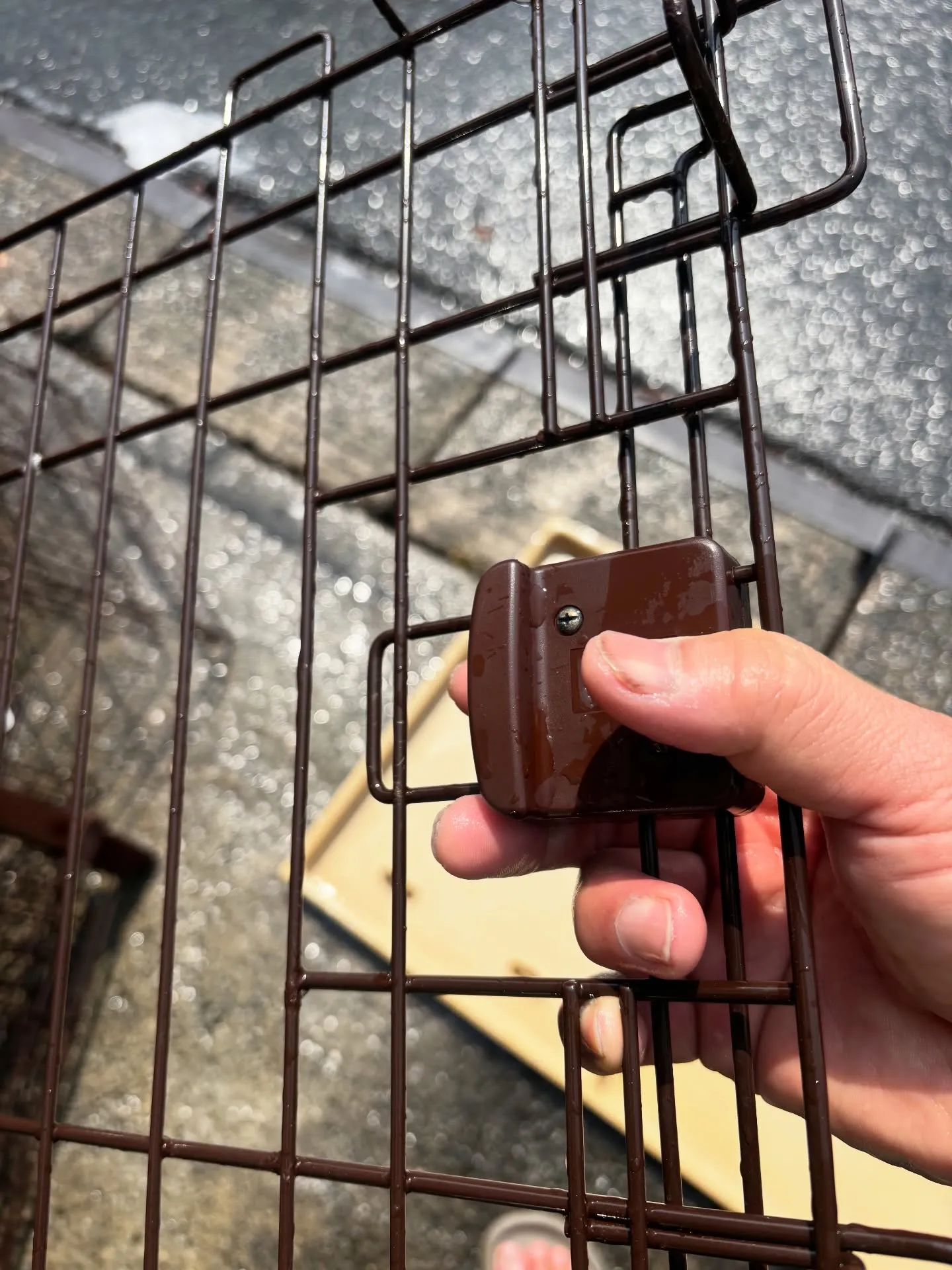 2回洗浄し、組み立ててみます。