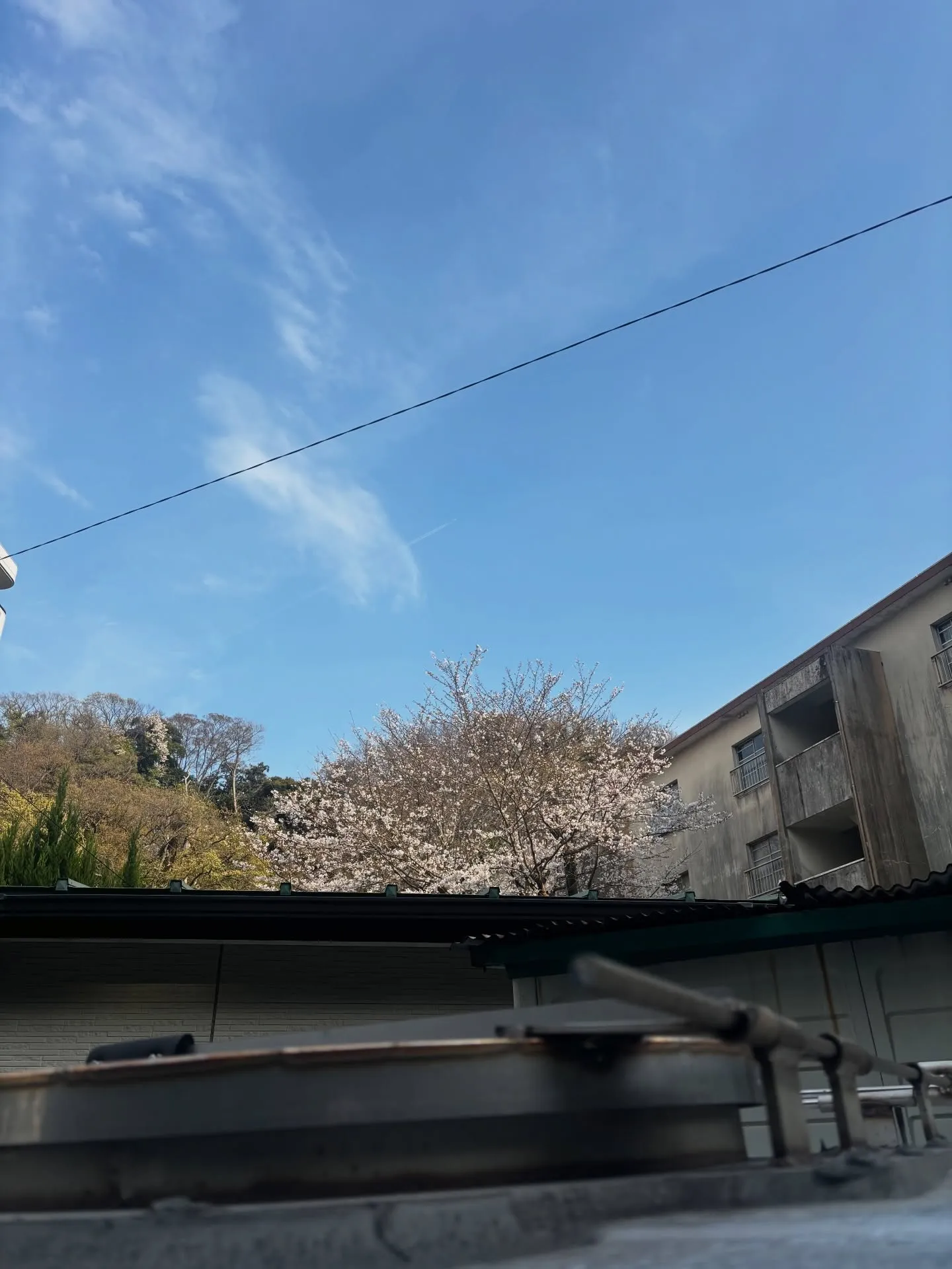 横須賀市にお住まいでペット飼育が禁止されているご家庭から、ペ...