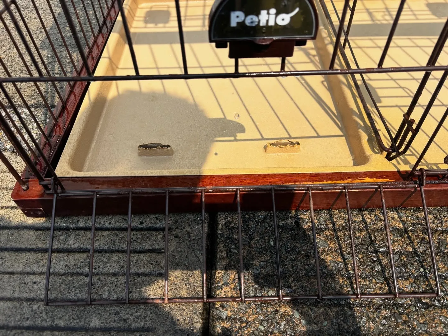 命を繋ぐバトンとして生前使われていたわんちゃんのゲージの清掃...