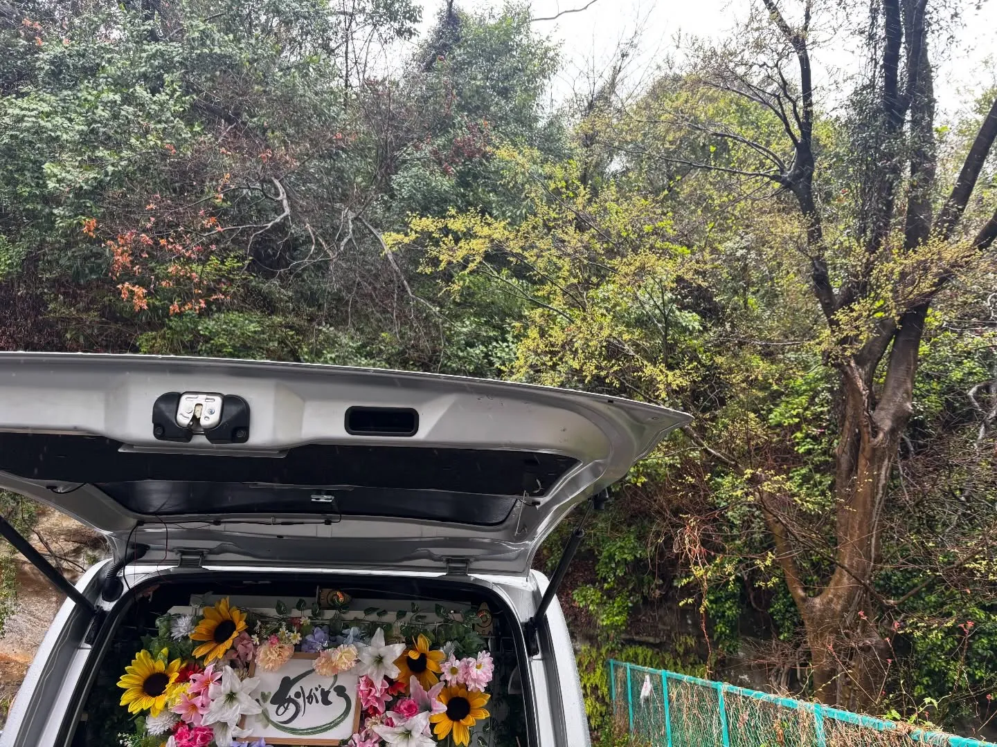 横須賀市にて大切なセキセイインコちゃんのお別れのお手伝いをさ...