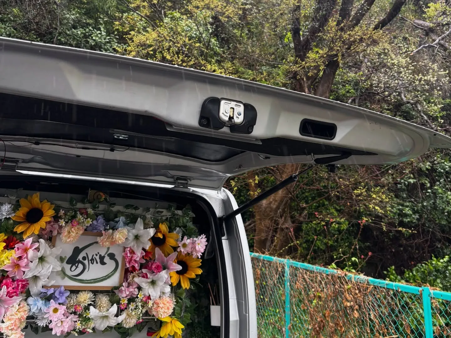 横須賀市にて大切なセキセイインコちゃんのお別れのお手伝いをさ...