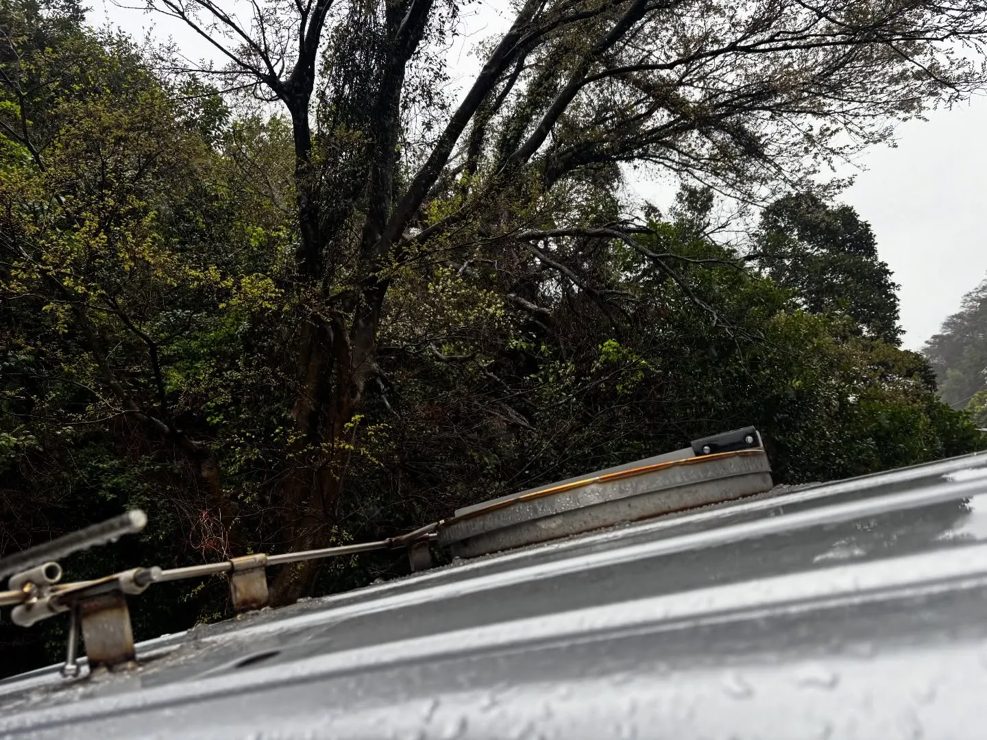 横浜市金沢区在住のペット愛好家の方から、大切な家族の一員であ...