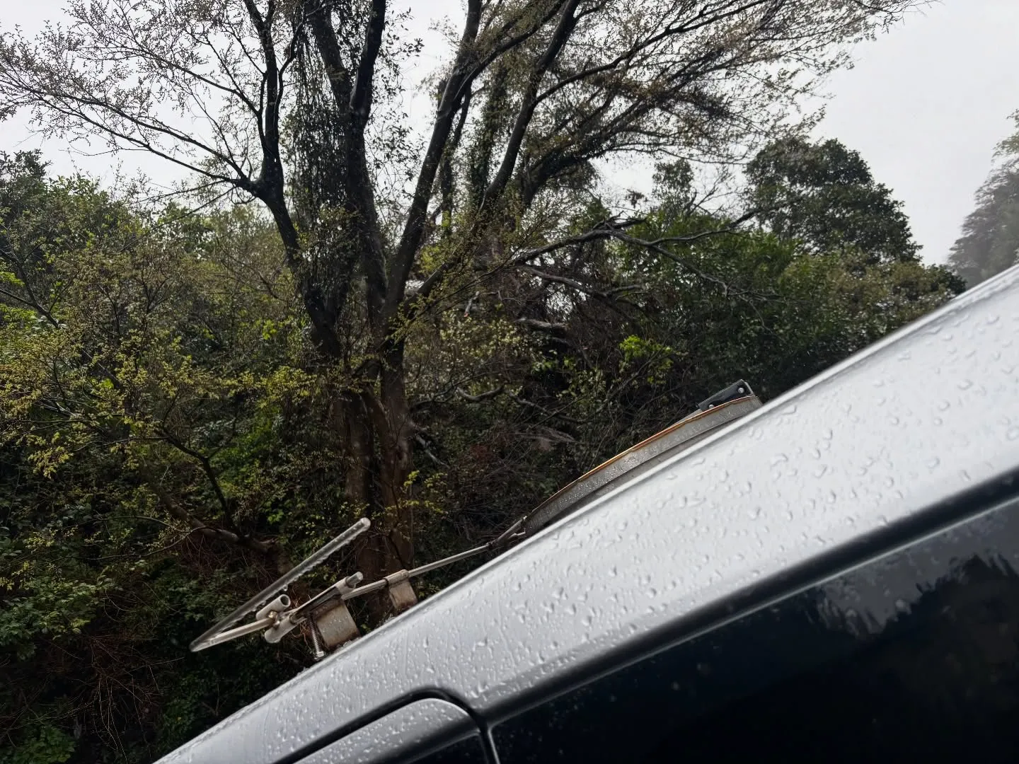 横浜市金沢区在住のペット愛好家の方から、大切な家族の一員であ...