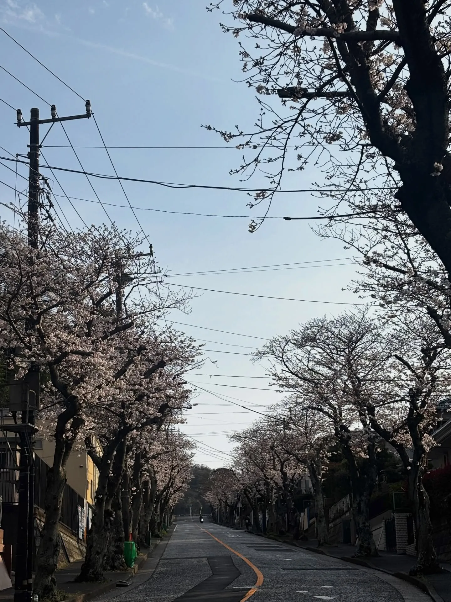 ペットとの最後のお別れの瞬間は、非常に感情的で難しいものです...