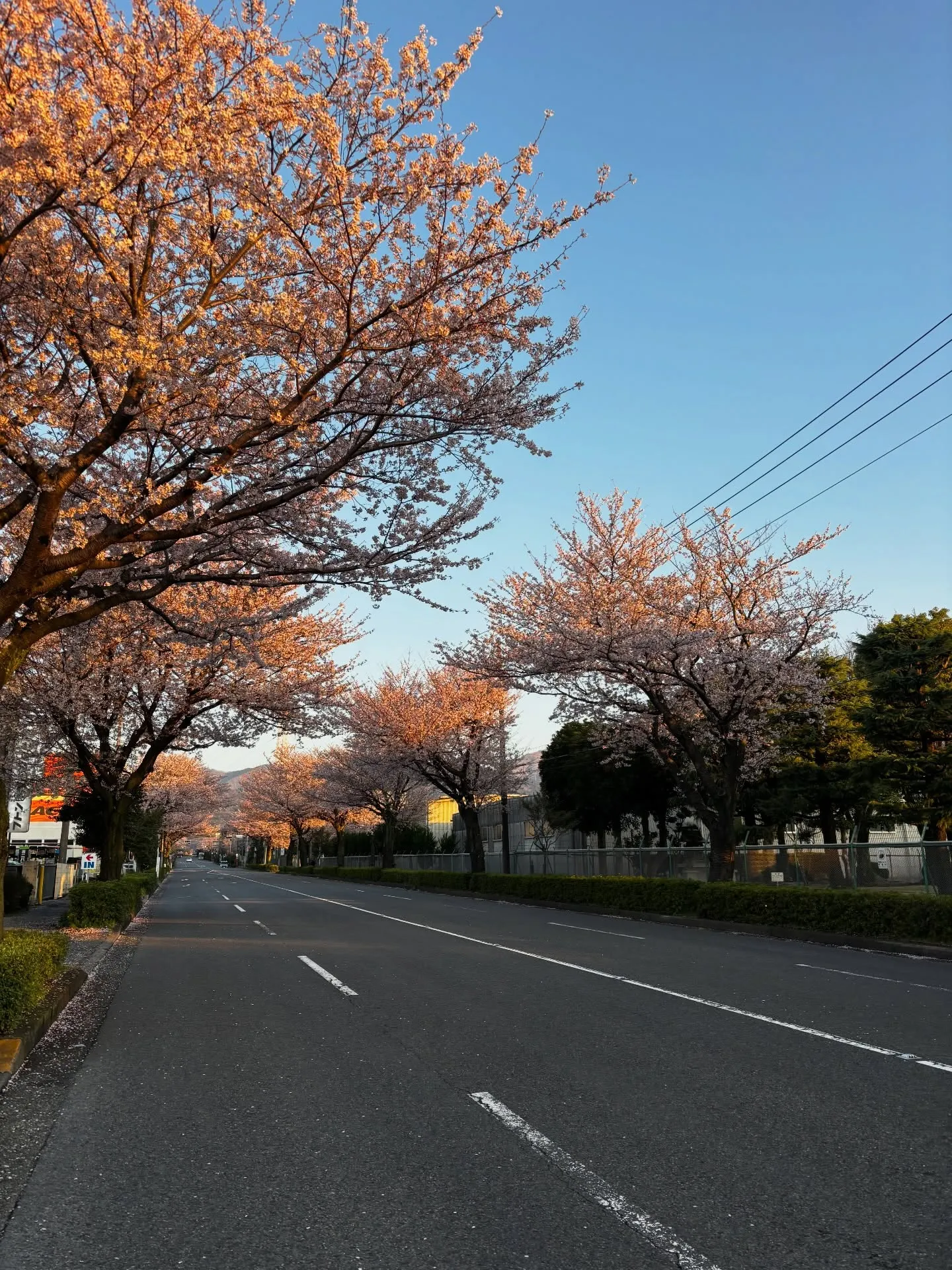 神奈川県秦野市で、いつもの散歩コースにて、心温まるお手伝いを...