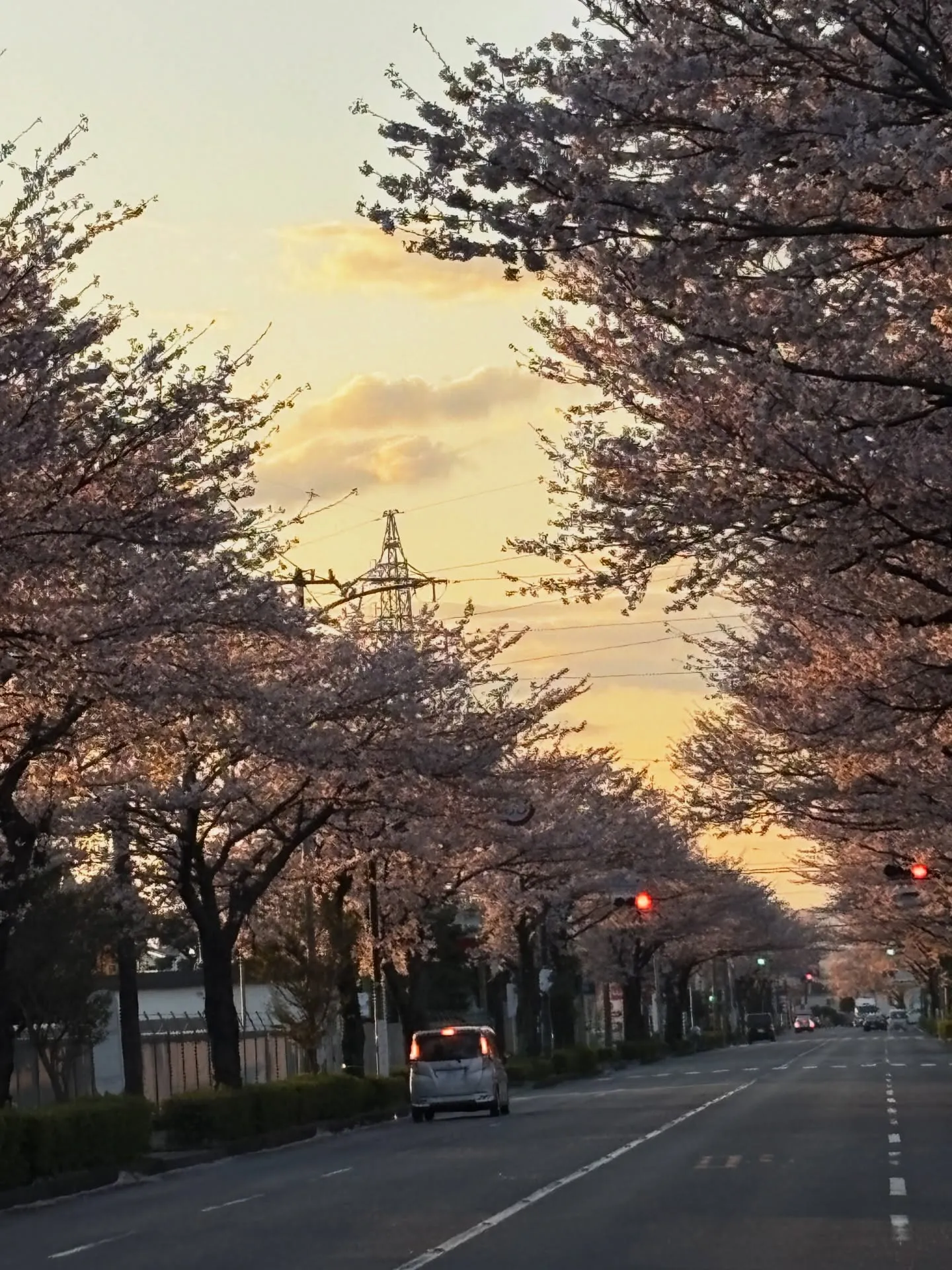 神奈川県秦野市で、いつもの散歩コースにて、心温まるお手伝いを...