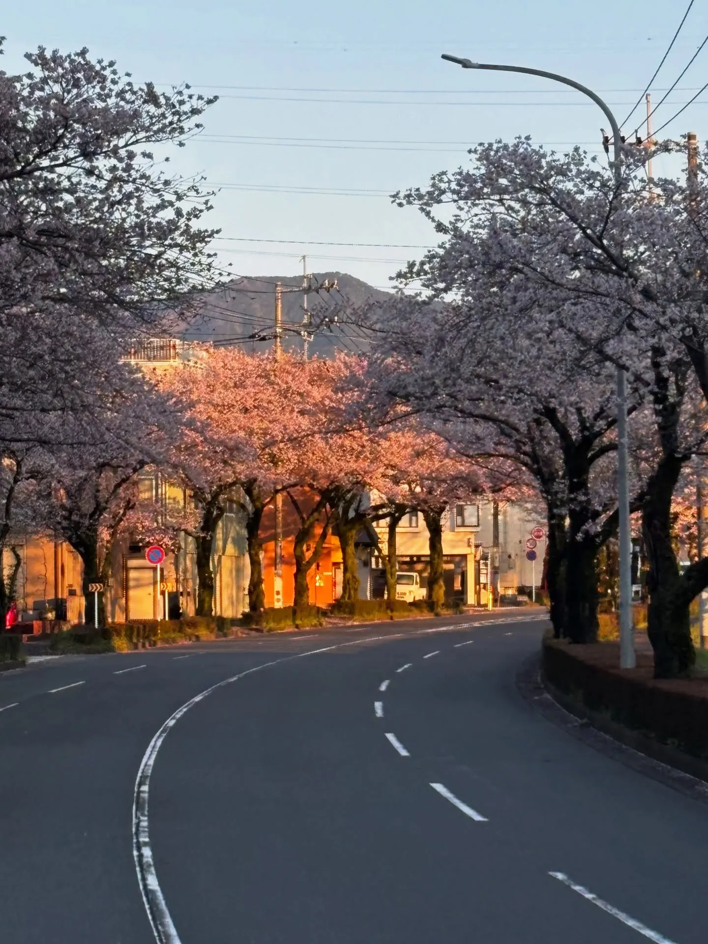 神奈川県秦野市で、いつもの散歩コースにて、心温まるお手伝いを...
