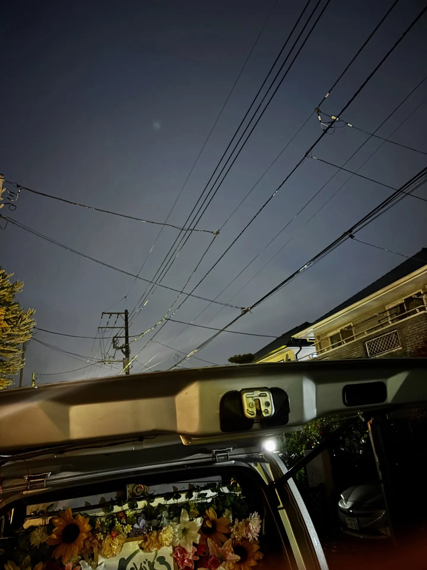 逗子市で16歳の愛しい猫ちゃんのお見送りをお手伝いさせていた...