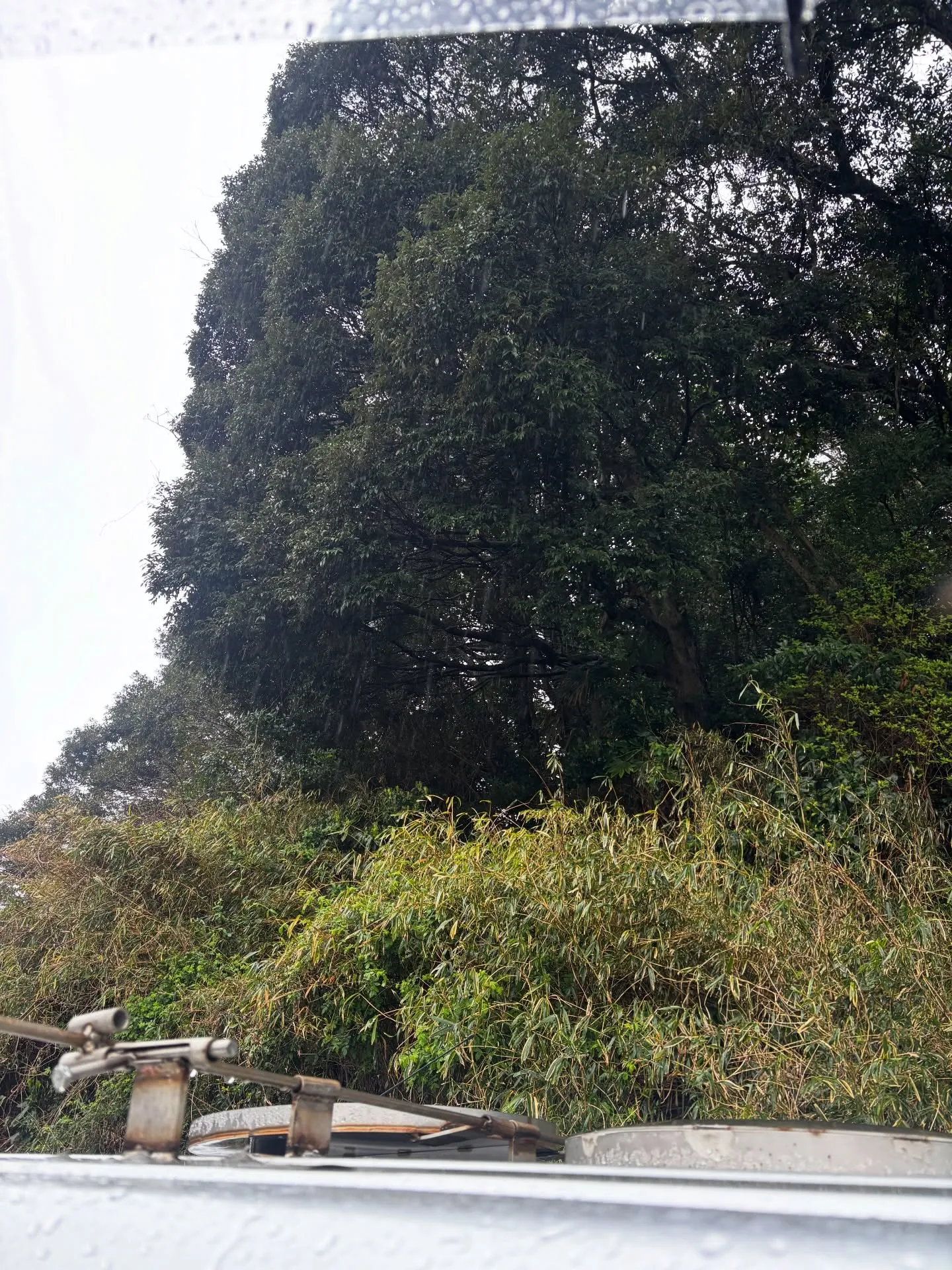 横須賀市を拠点として、神奈川県全域で訪問ペット火葬のサービス...