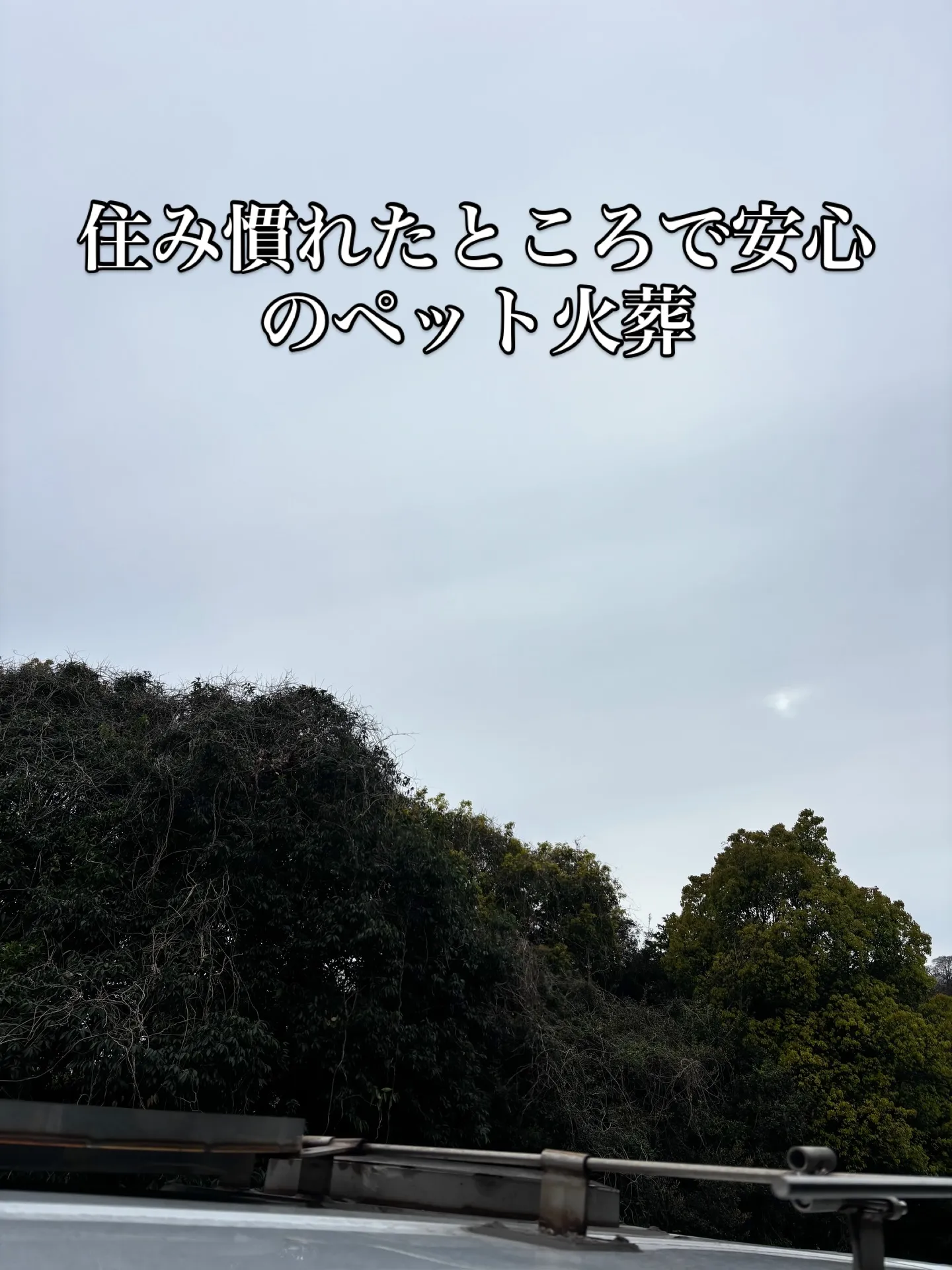 横浜市金沢区でのペット火葬サービスのお手伝いをさせていただき...