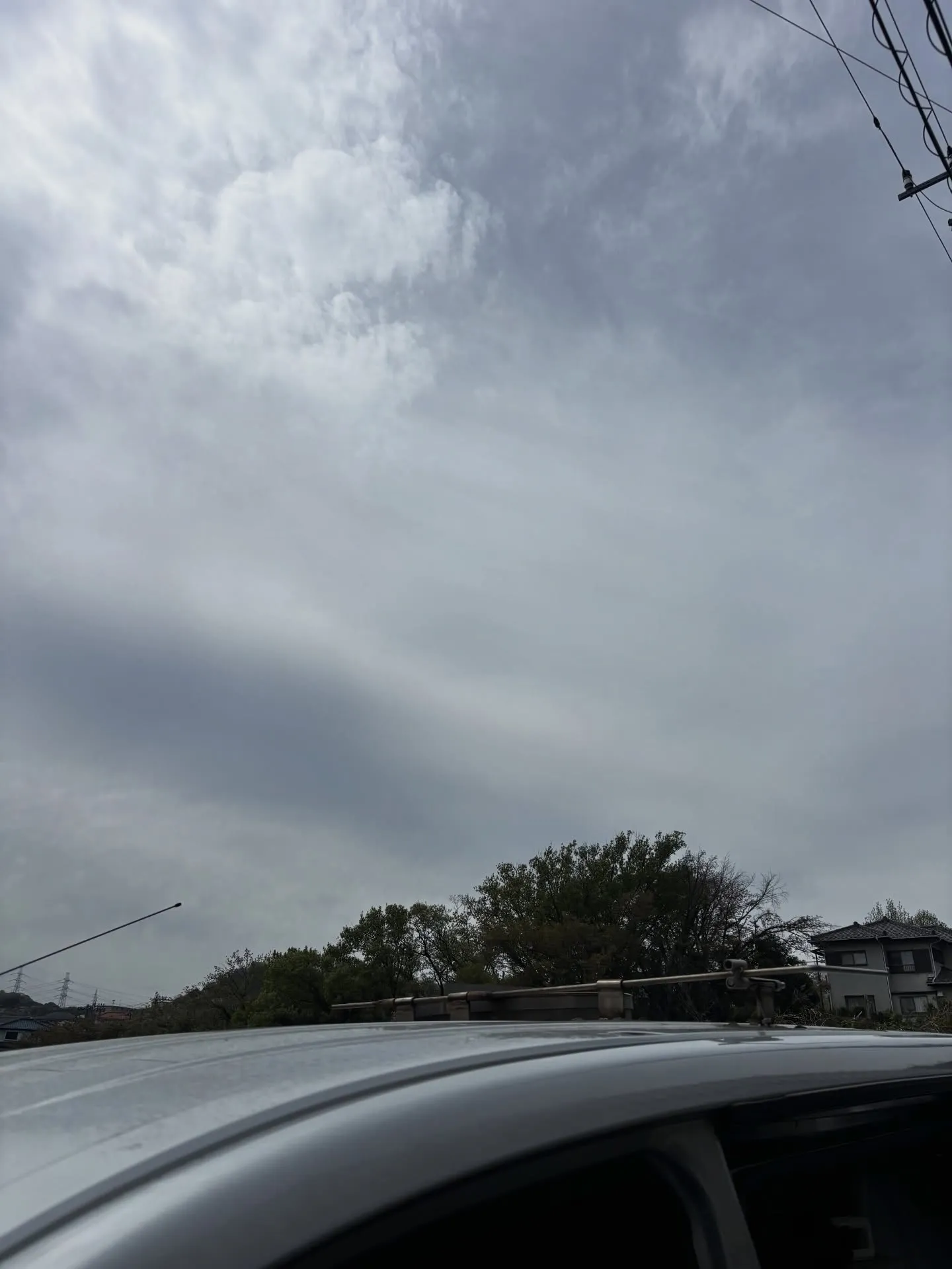 横須賀市において、愛らしいうさぎさんのペット火葬のお手伝いを...