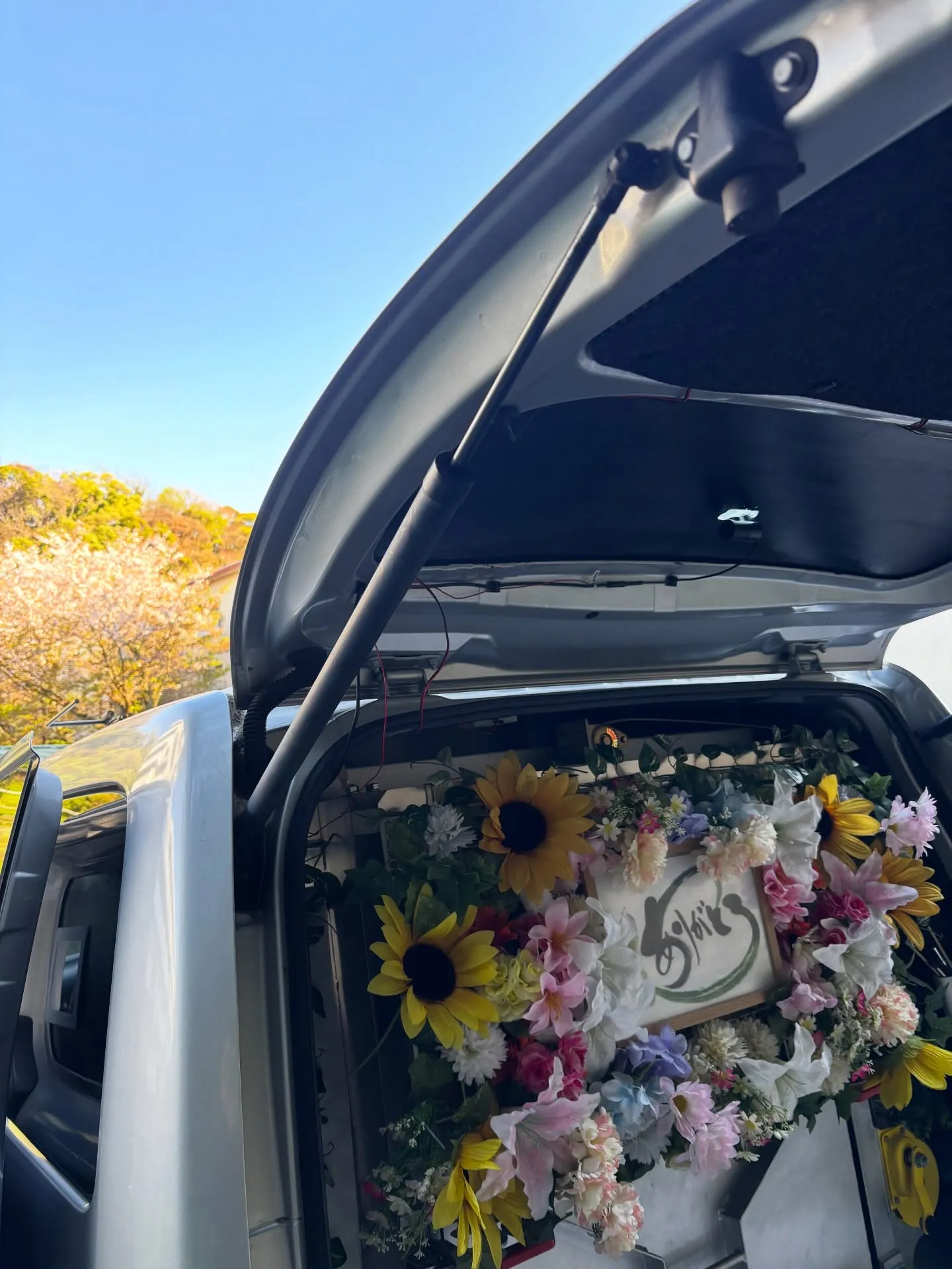 横須賀市で可愛らしいチワワちゃんのペット火葬のお手伝いをさせ...