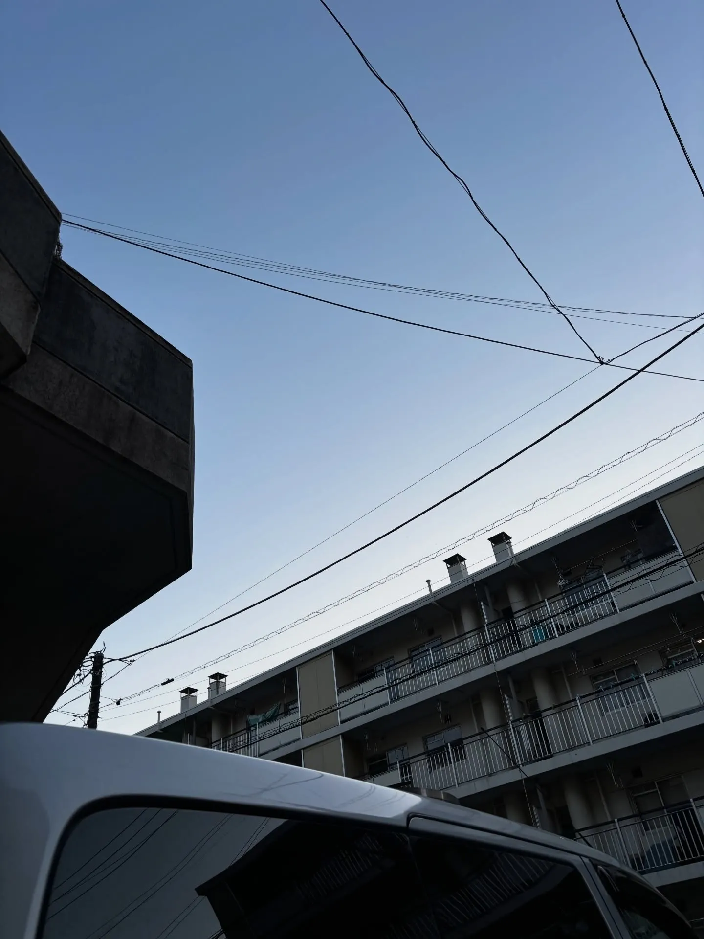 横須賀市にて大切なご家族の一員である保護猫ちゃんのお見送りを...