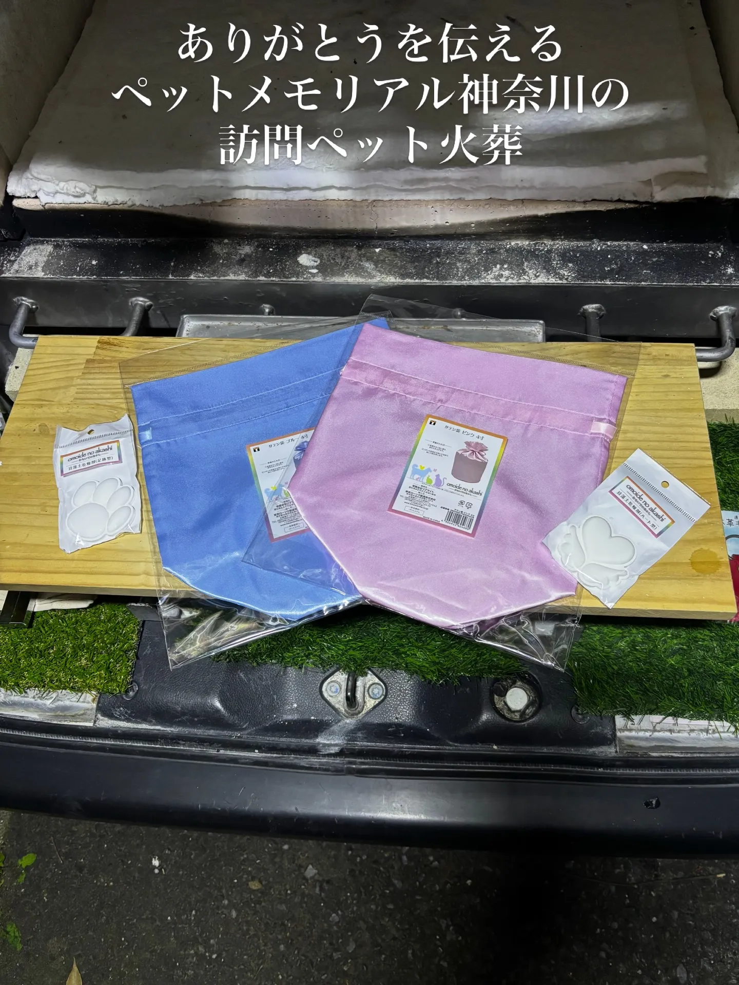 ペットは家族の一員として、私たちの日々に豊かな彩りを与えてく...