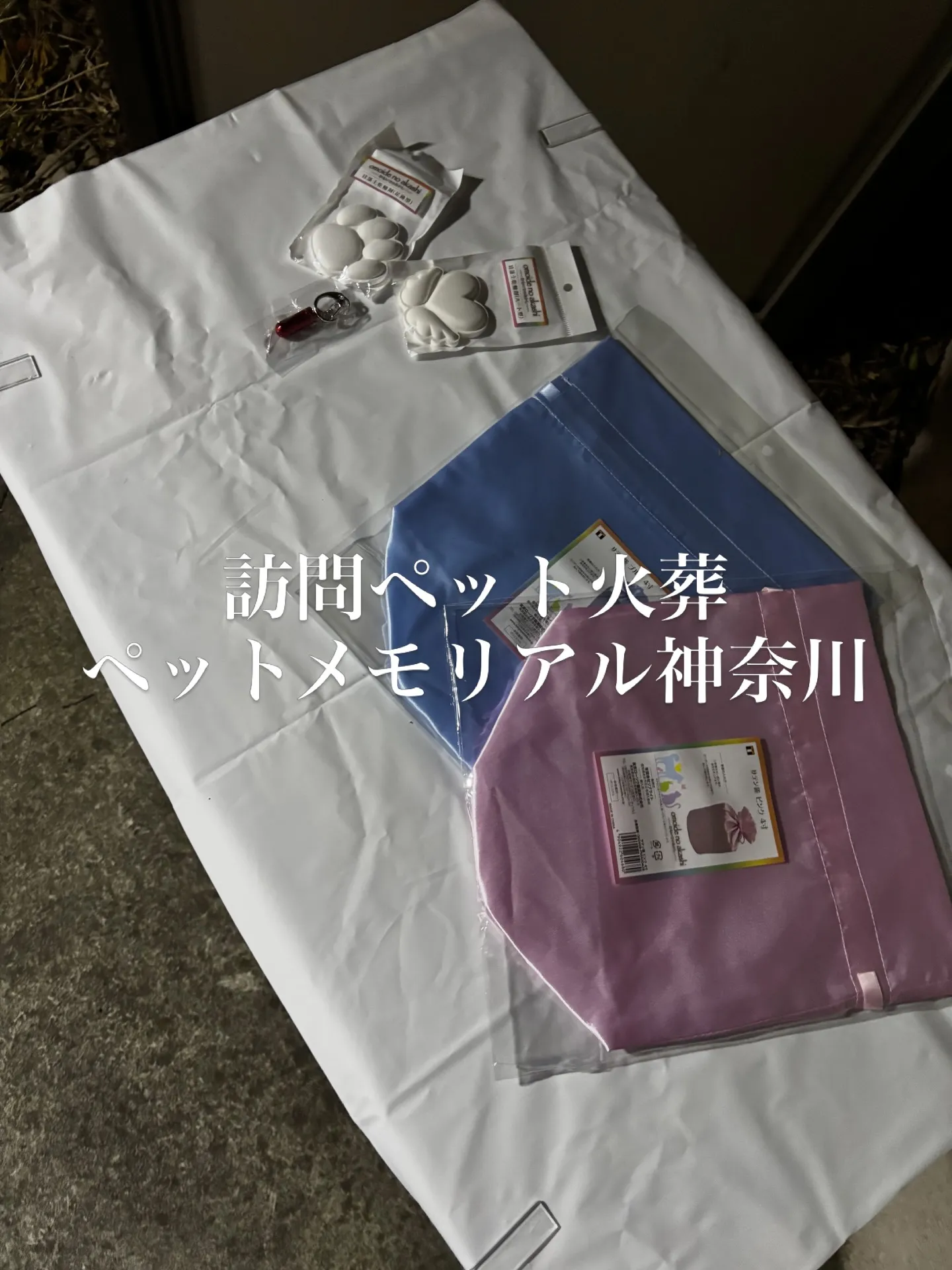 横浜市にて、愛らしいトイプードルちゃんのペット火葬をお手伝い...