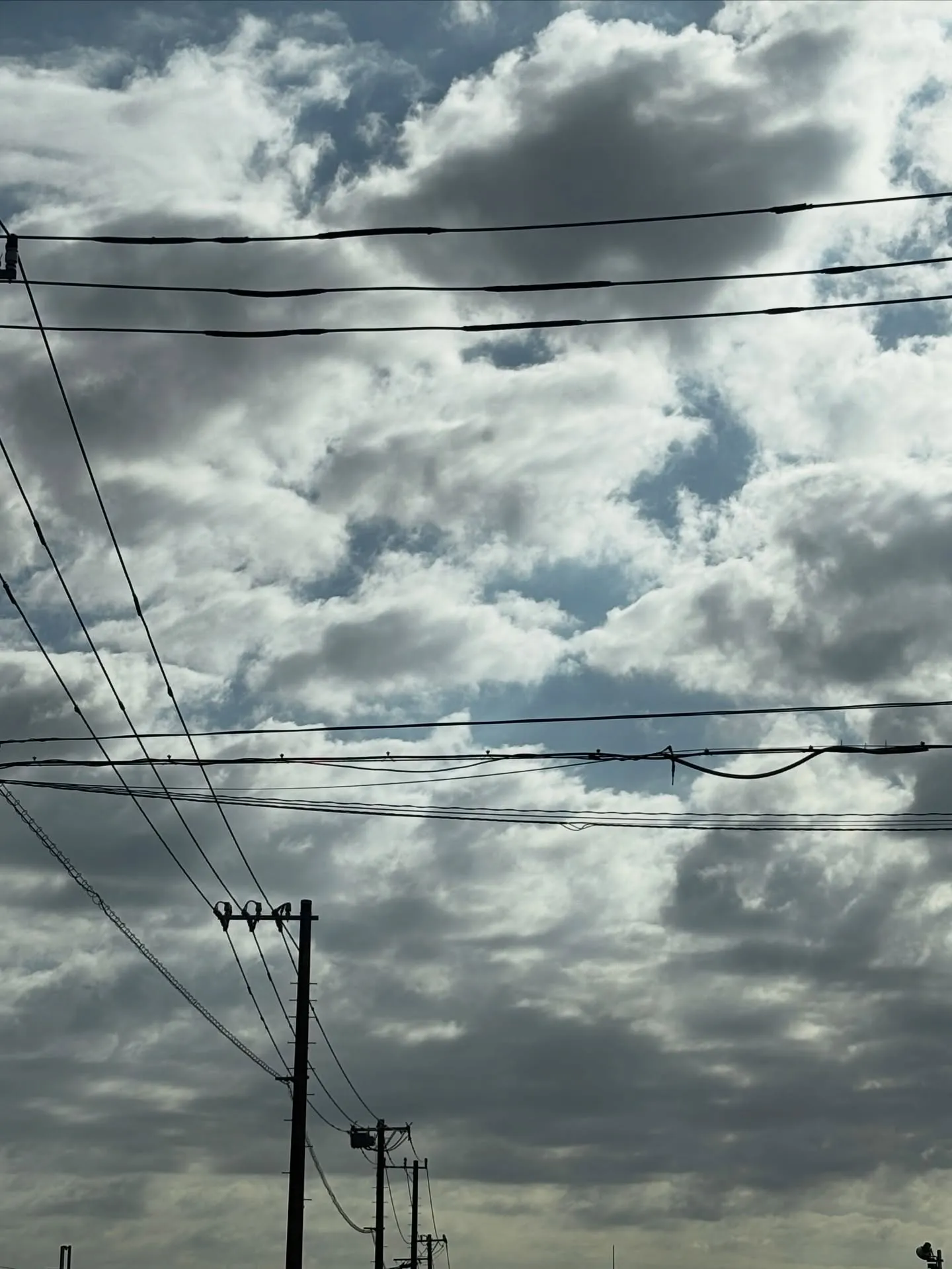 ペットは多くの人にとって家族の一員であり、その最期の時間をい...