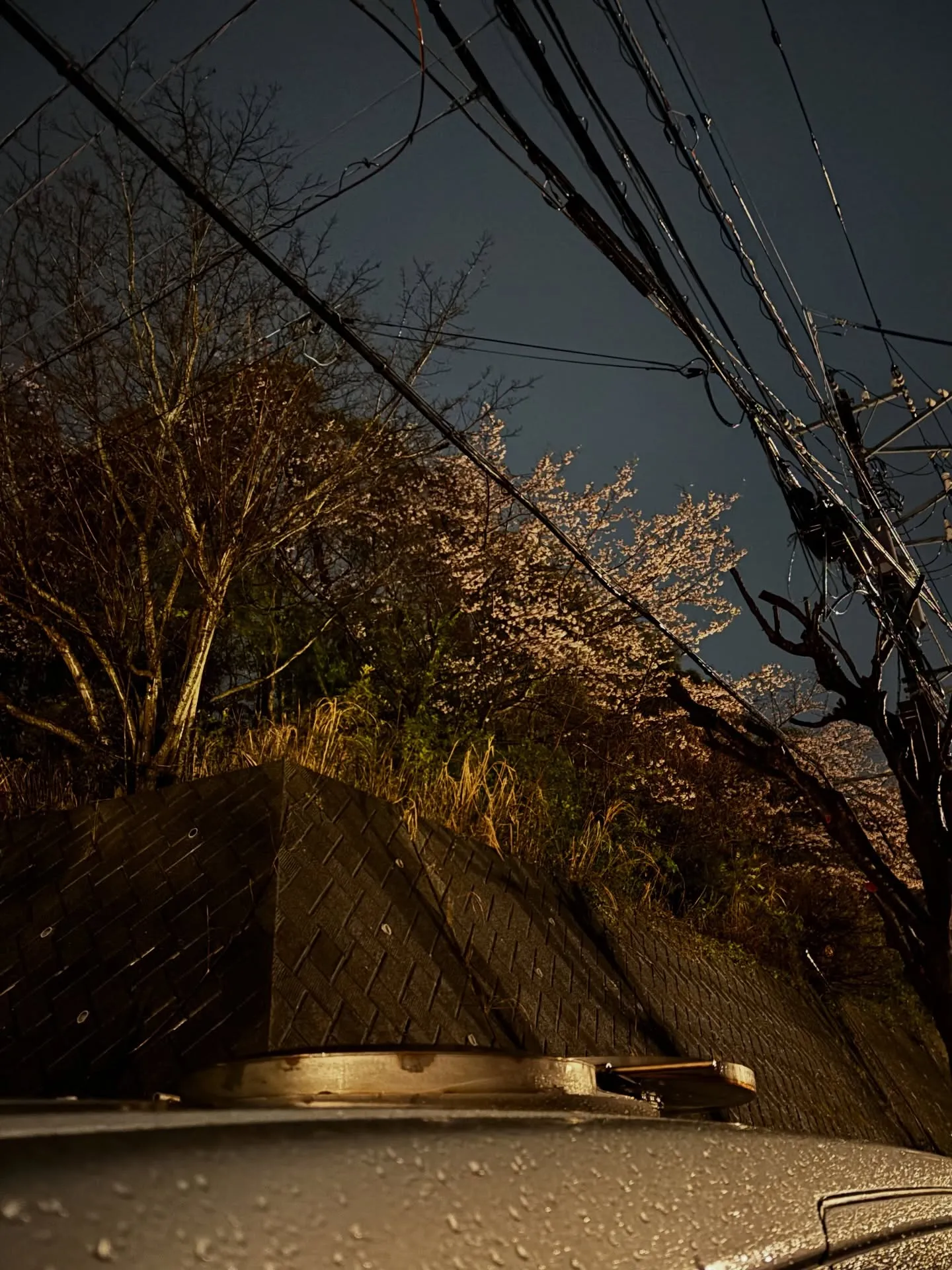 大切な家族の一員であるペットの最期を見送る際、心を込めてお別...