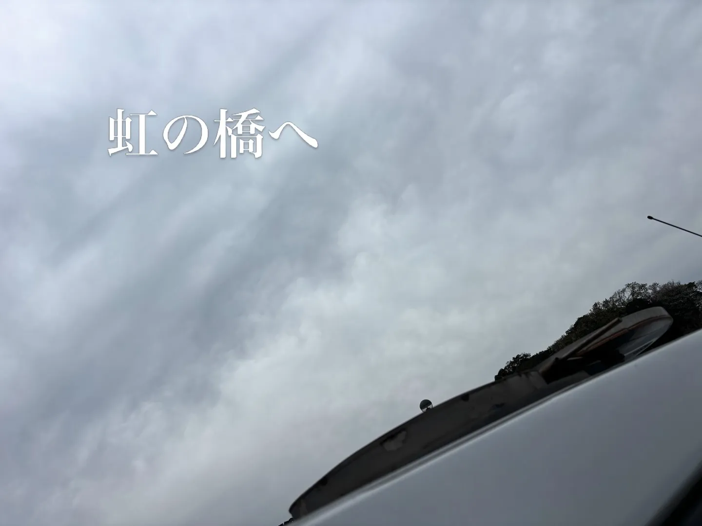 横浜市金沢区にて、柴犬のルイス君のペット火葬のお手伝いをさせ...