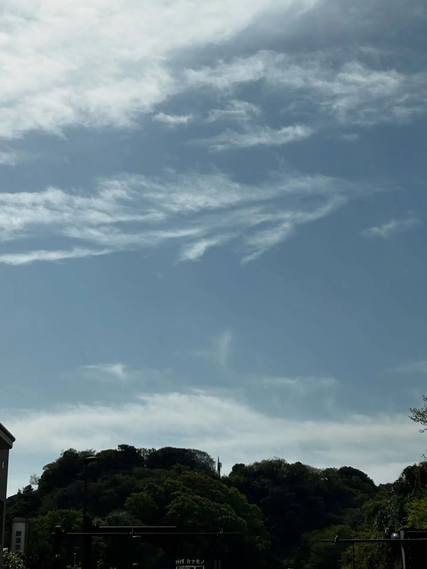 横須賀市を拠点とする「訪問ペット火葬ペットメモリアル神奈川」...