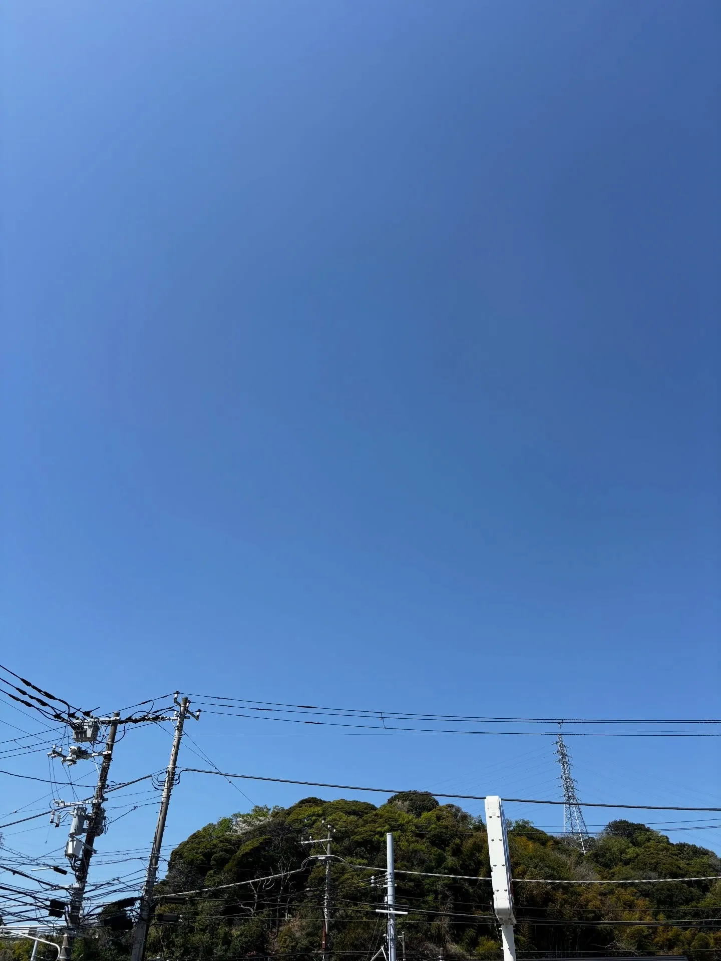 横須賀市にて、海外からお仕事で日本でお住まいの方の愛らしいヨ...