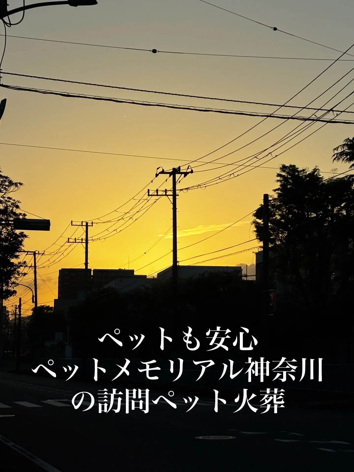 横須賀市を拠点に置き、神奈川県全域でペット火葬をご提供する「...