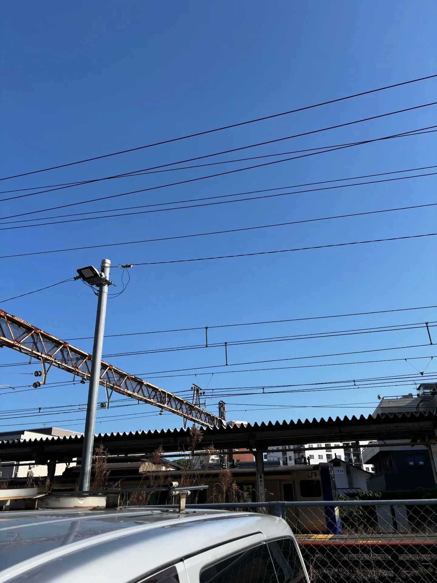 逗子市で愛するペットちゃんのお見送りとご火葬の儀を執り行いま...