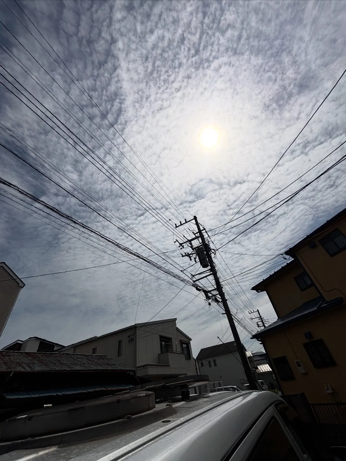 訪問ペット火葬は、ペットとのお別れをより個人的で心温まる時間...