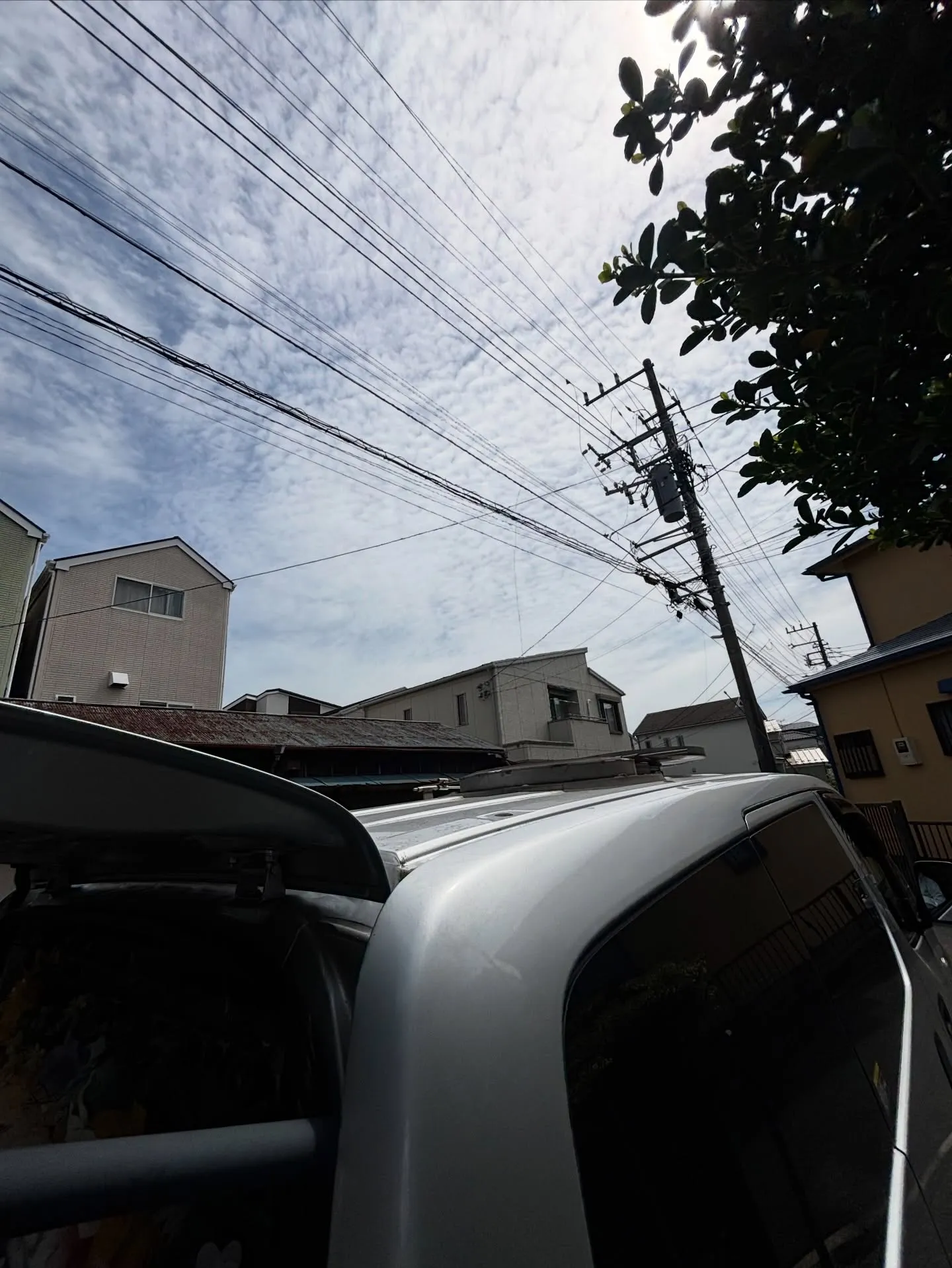 訪問ペット火葬は、ペットとのお別れをより個人的で心温まる時間...