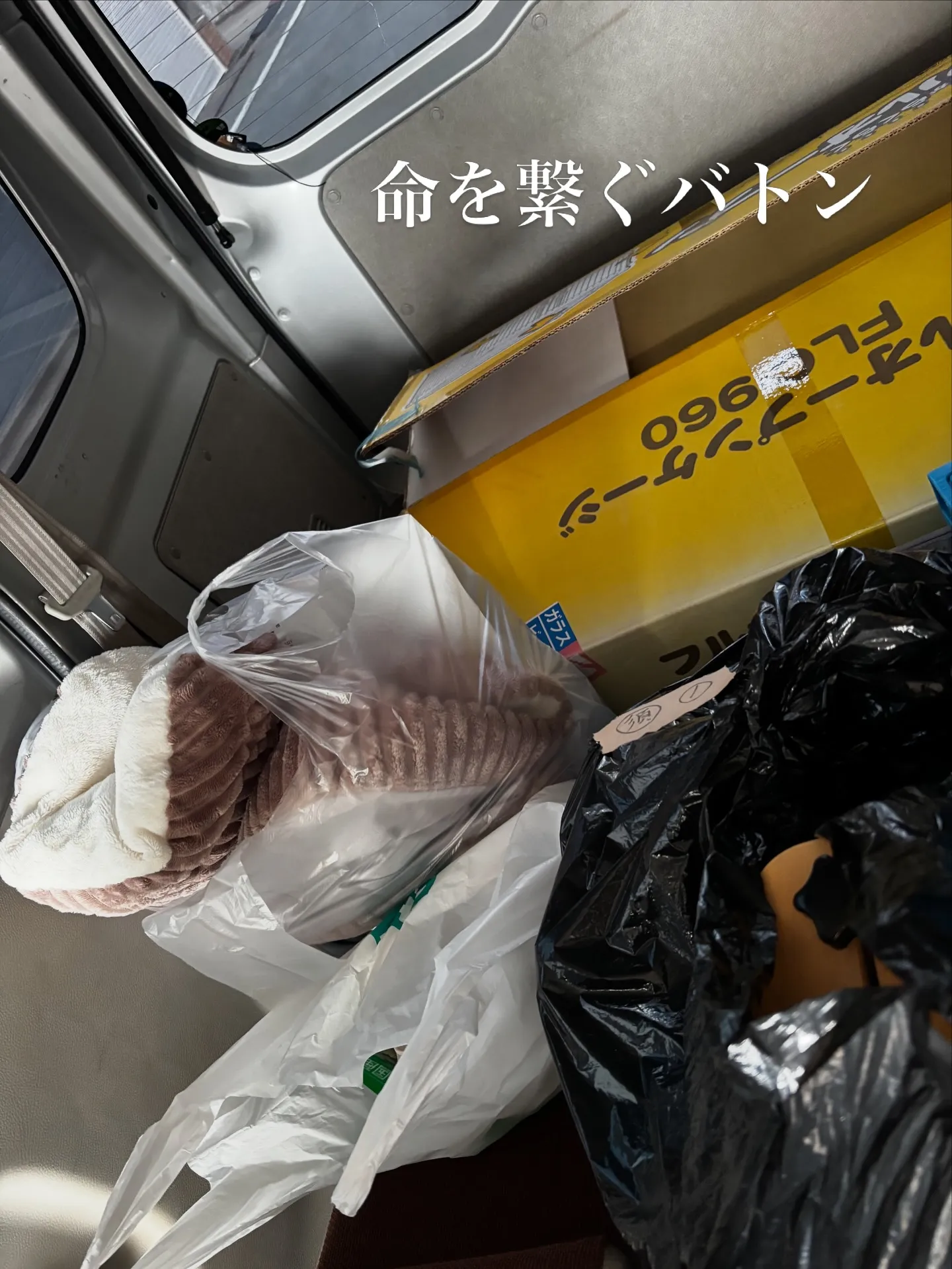 ペットは大切な家族の一員として、日々私たちに喜びと癒しを与え...