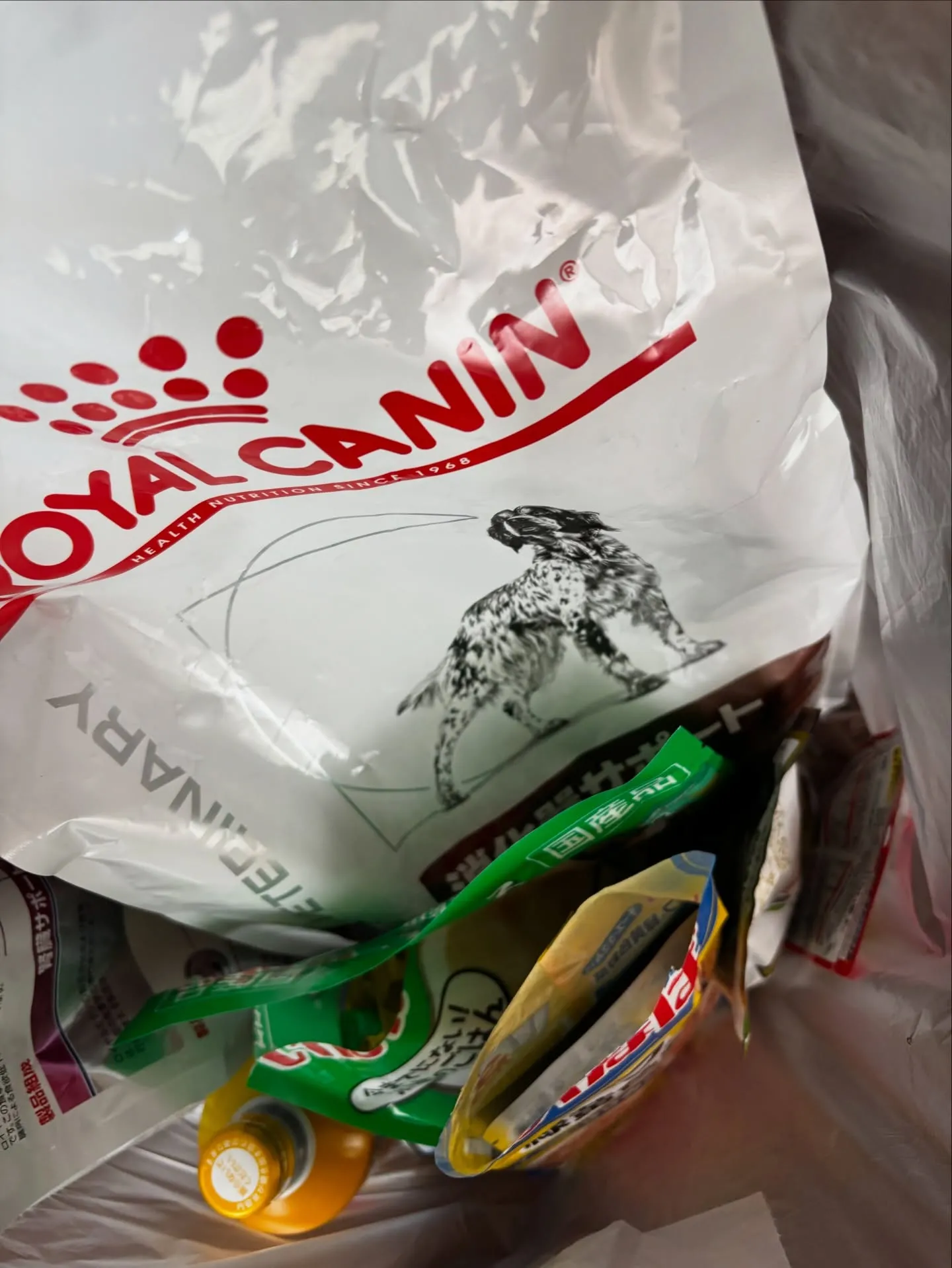 ペットは大切な家族の一員として、日々私たちに喜びと癒しを与え...