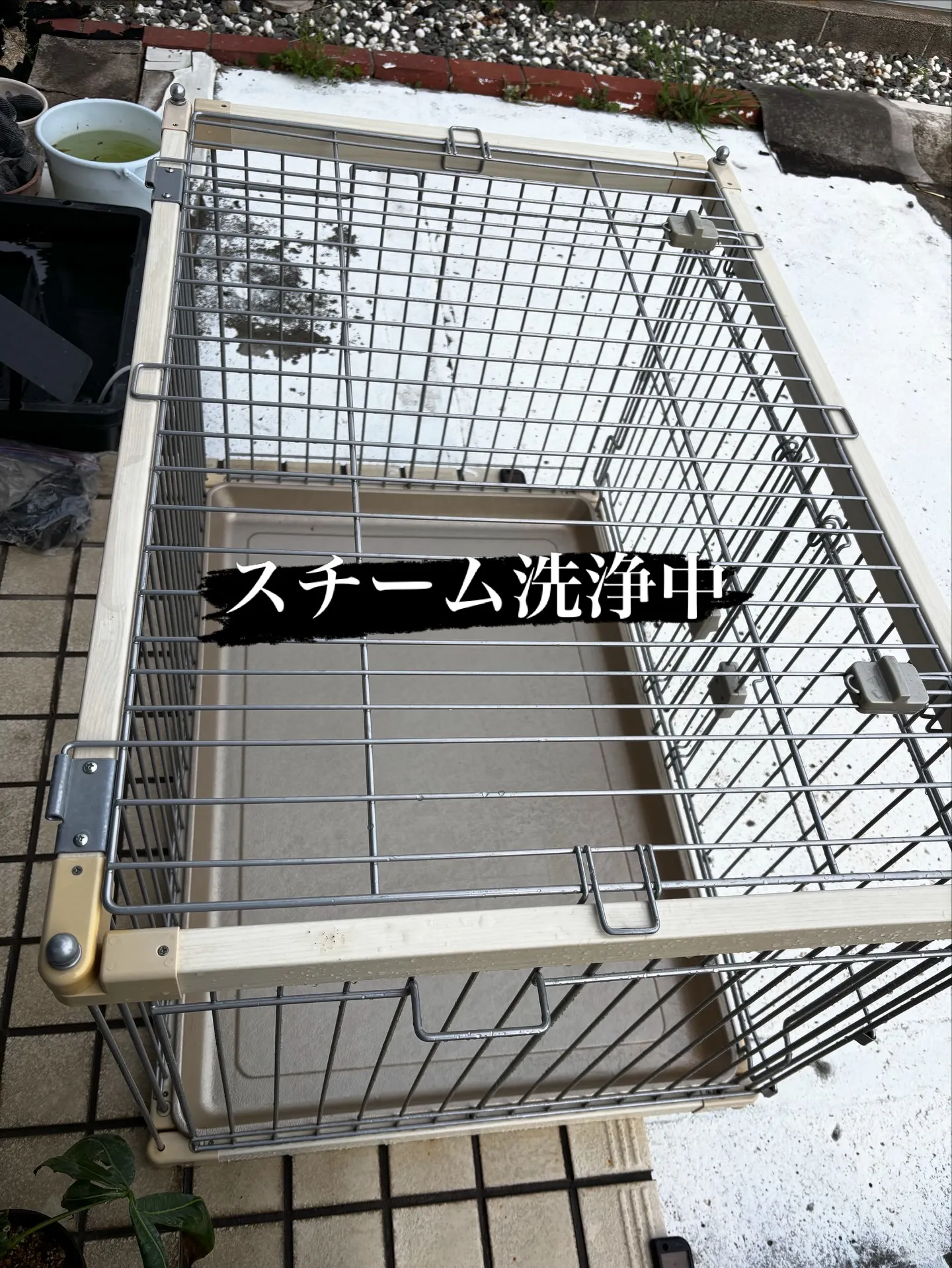 ペットは大切な家族の一員として、日々私たちに喜びと癒しを与え...