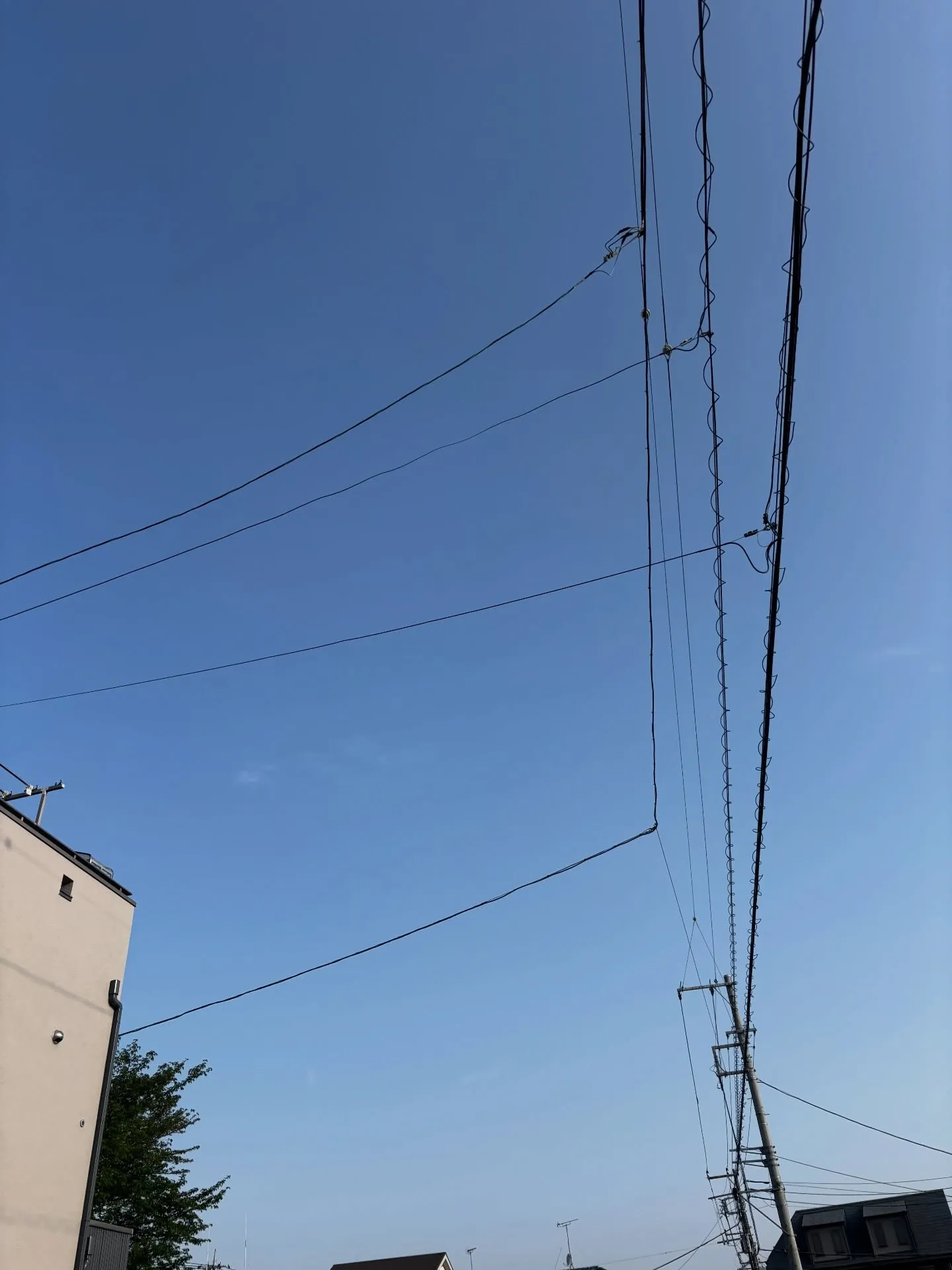 ペットを飼うことができない環境にお住まいの方にとって、愛する...