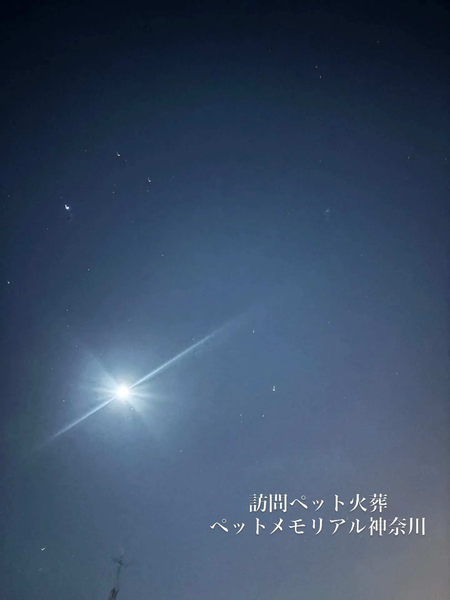 先日、逗子市にて愛猫のペット火葬をお手伝いいたしました。