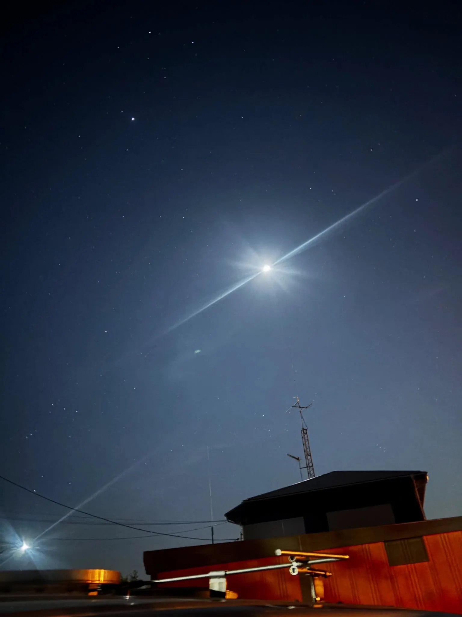 横須賀市にて、大切な家族の一員として愛されてきたうさぎちゃん...